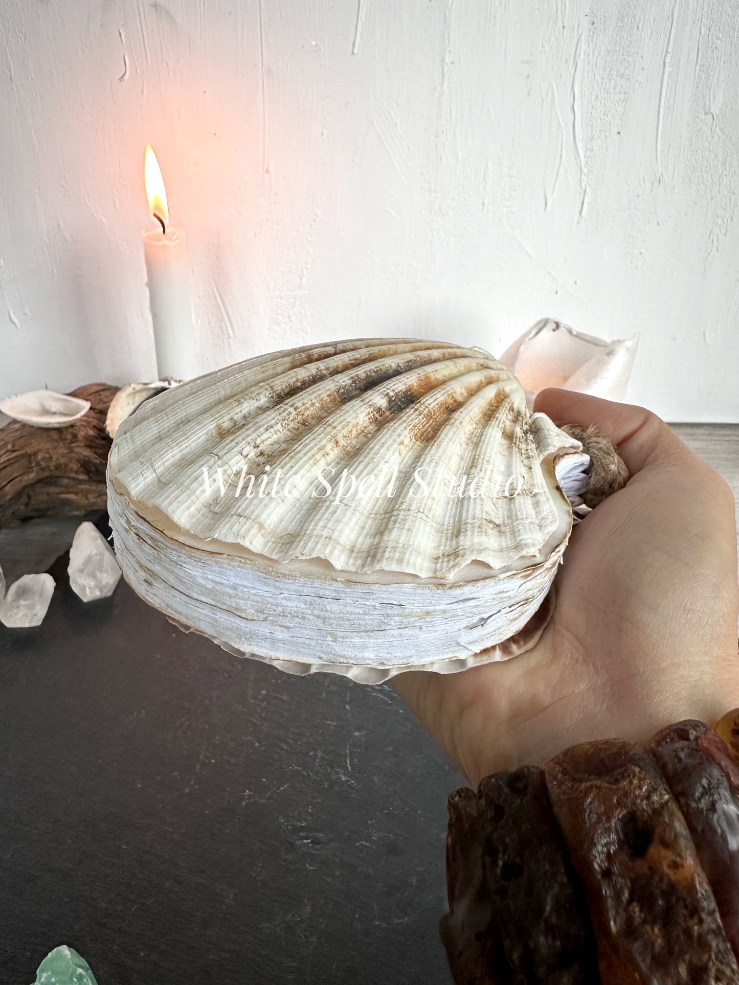 Milky white shell journal