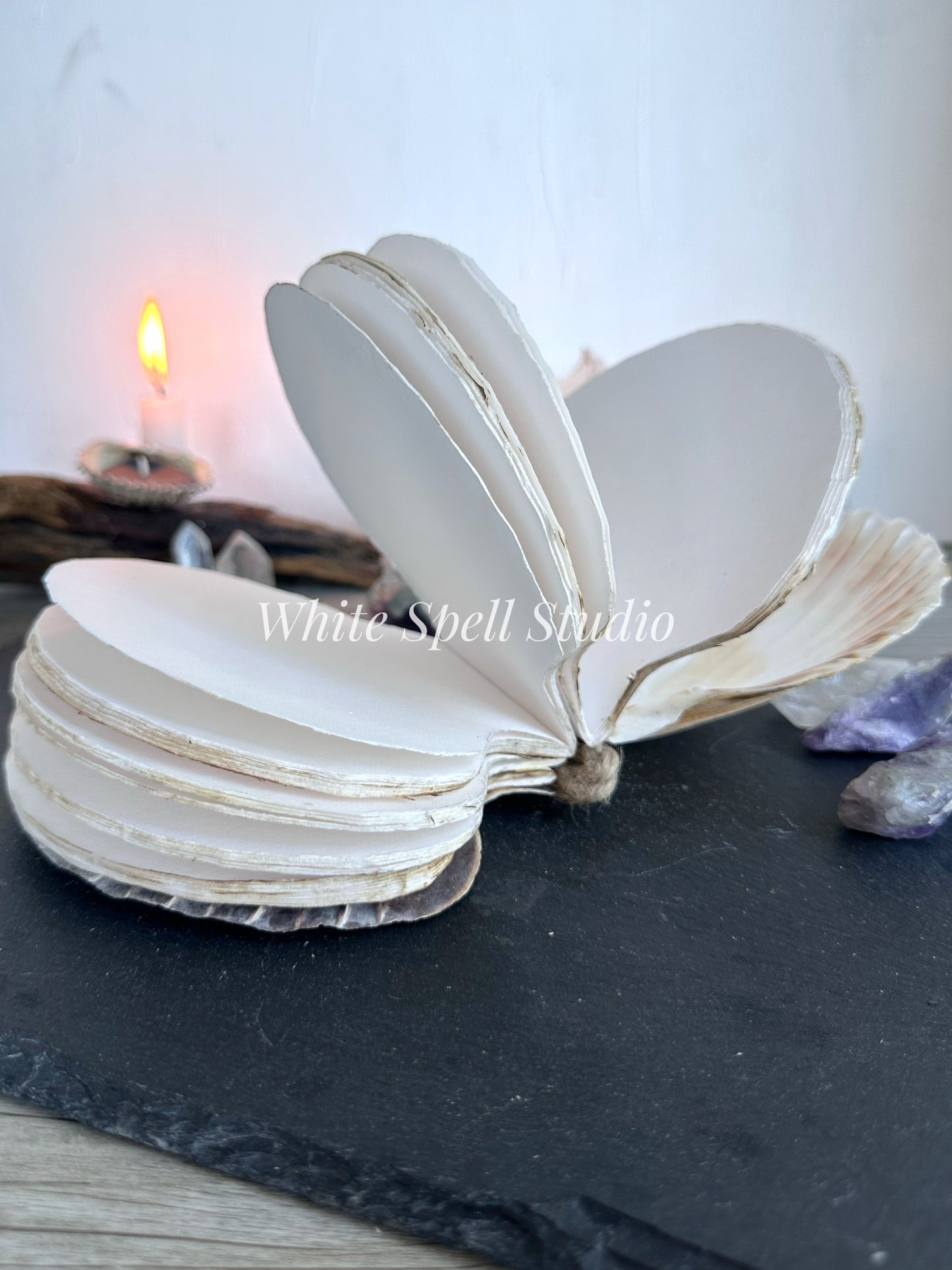 Shell journal with flat and convex cover