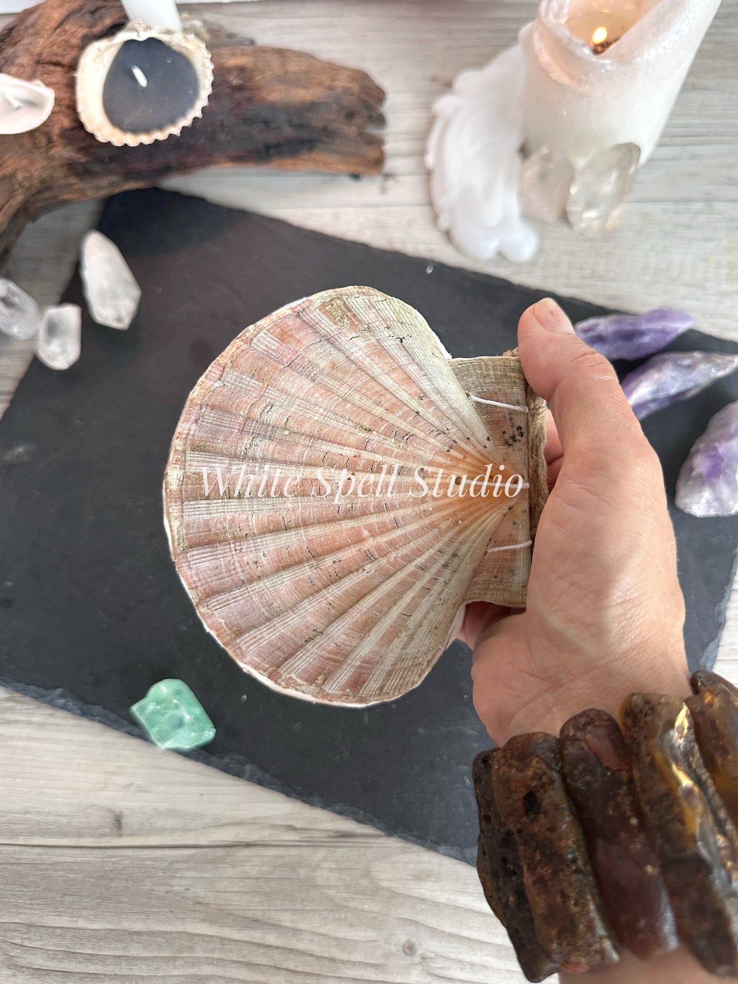 Milky white shell journal