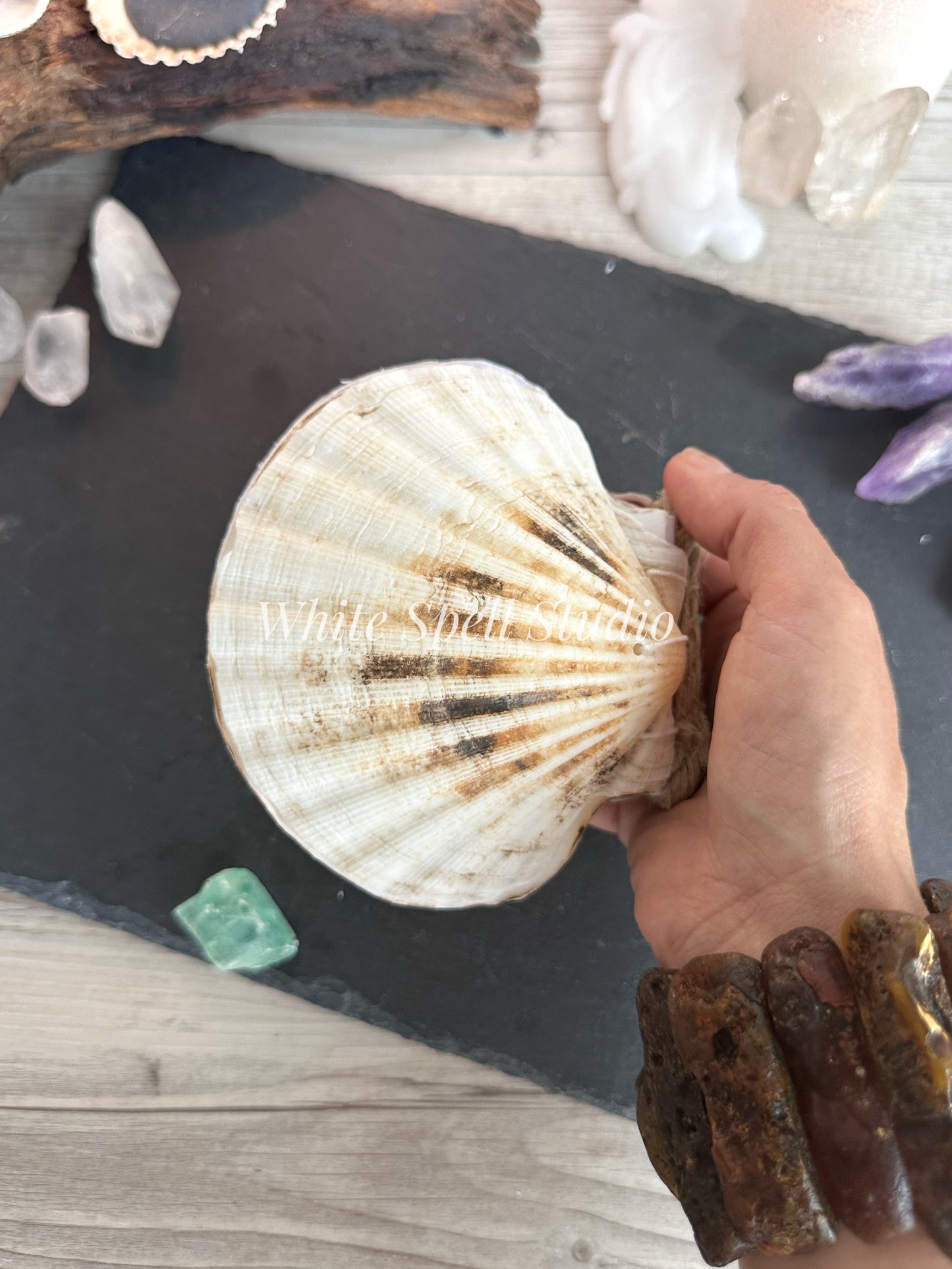 Milky white shell journal