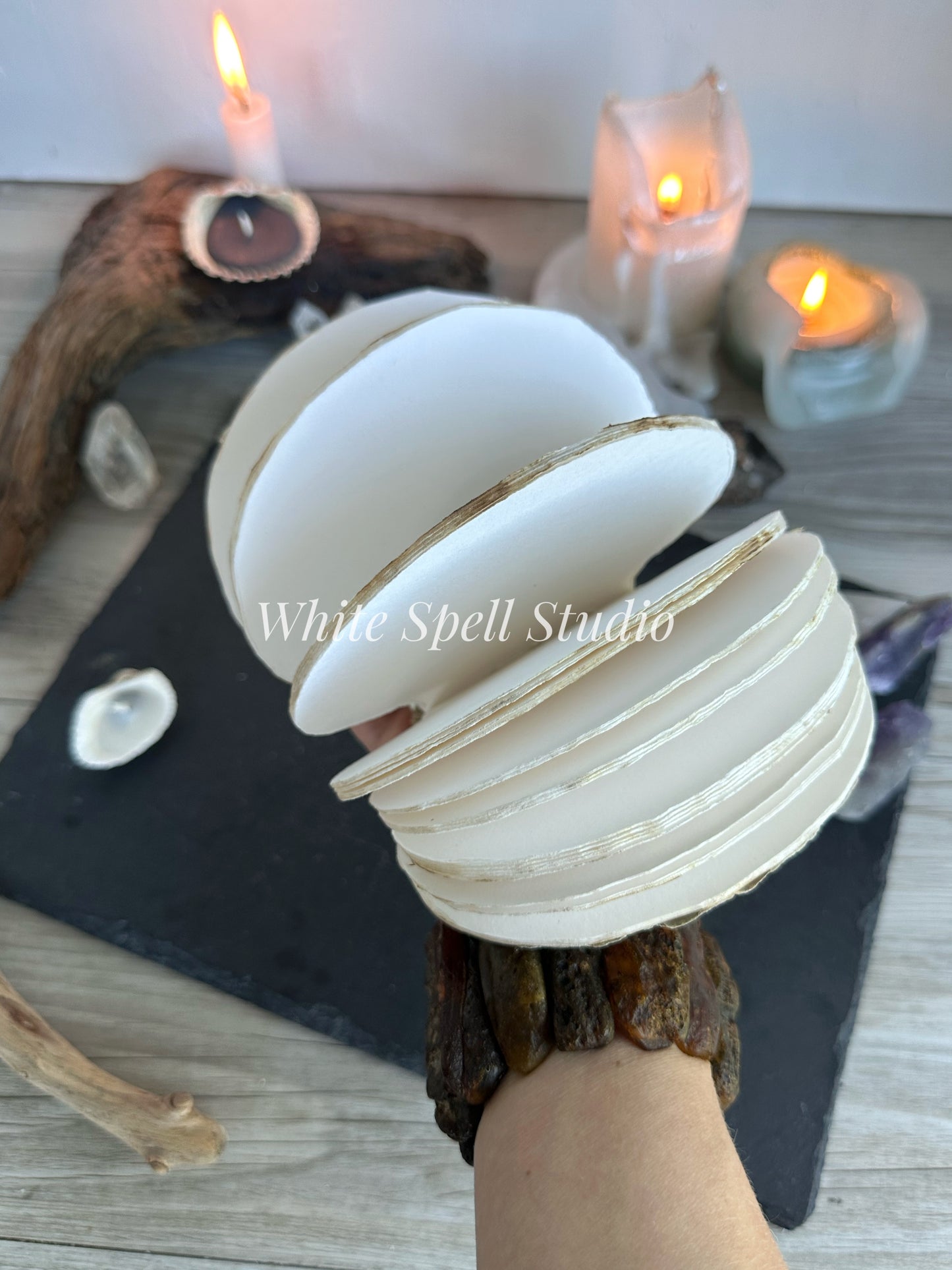 Scallop shell with growths journal