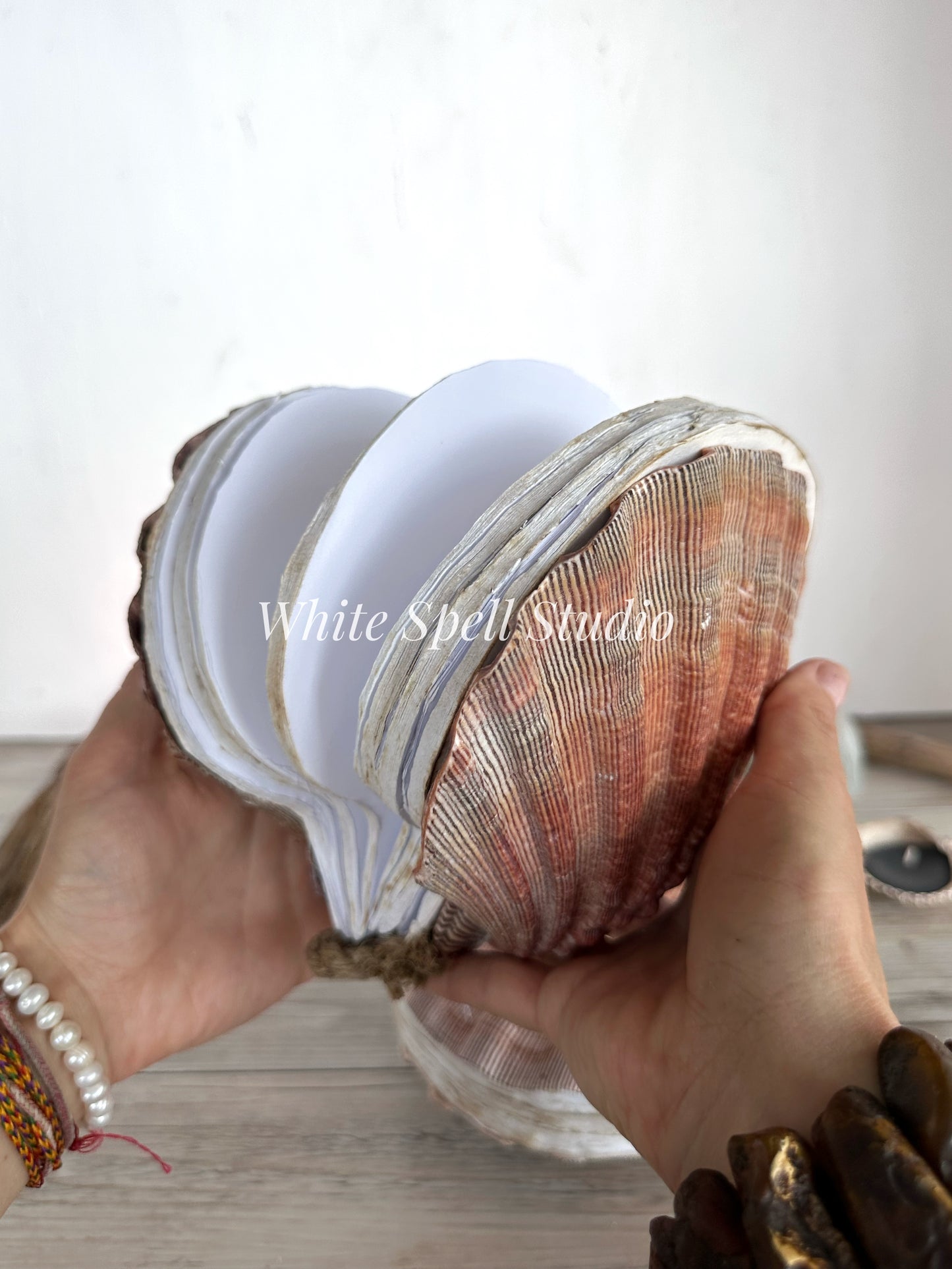 Royal XXL Lion’s Paw Royal shell journal