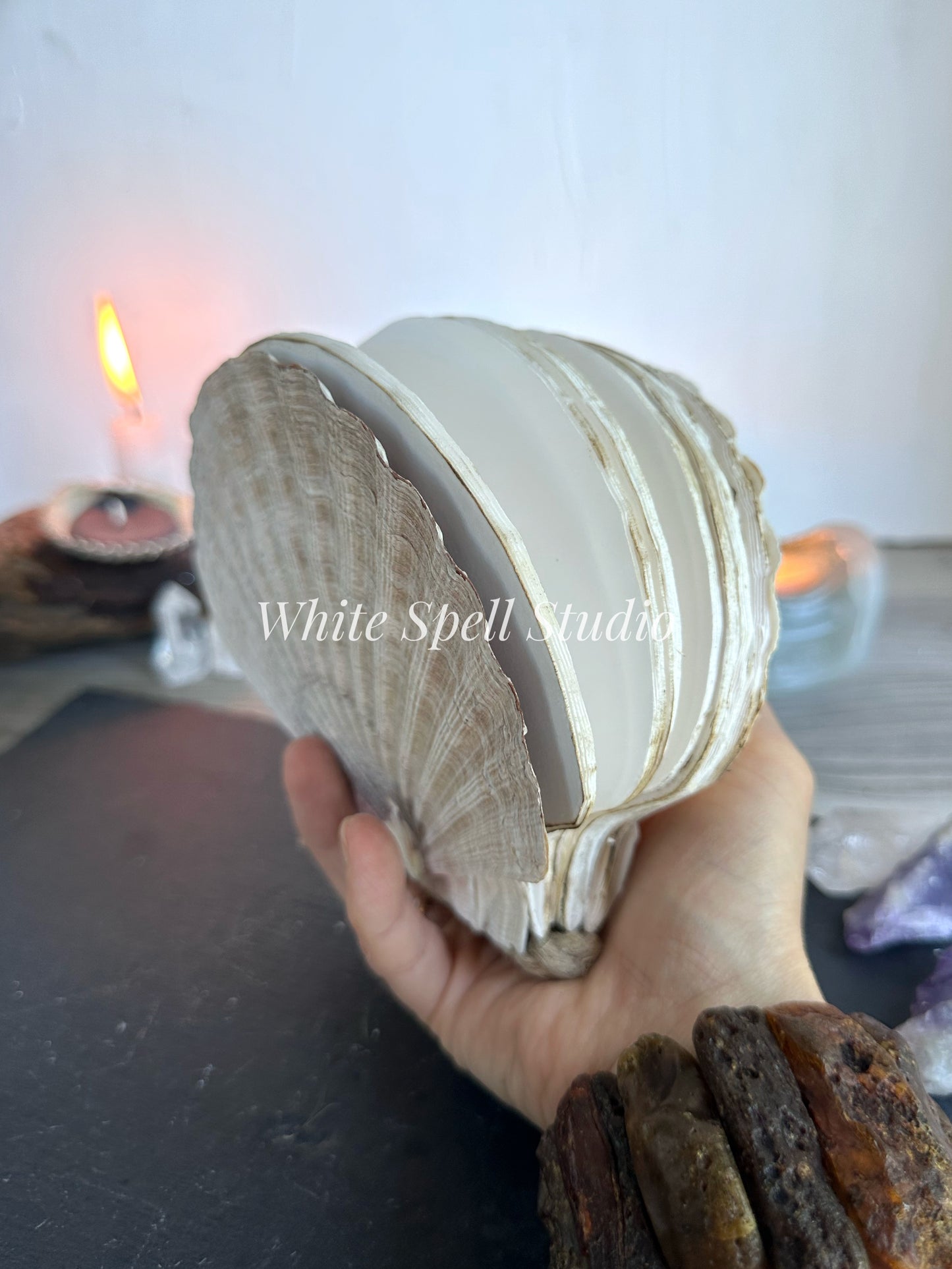 XXL convex and flat shell journals