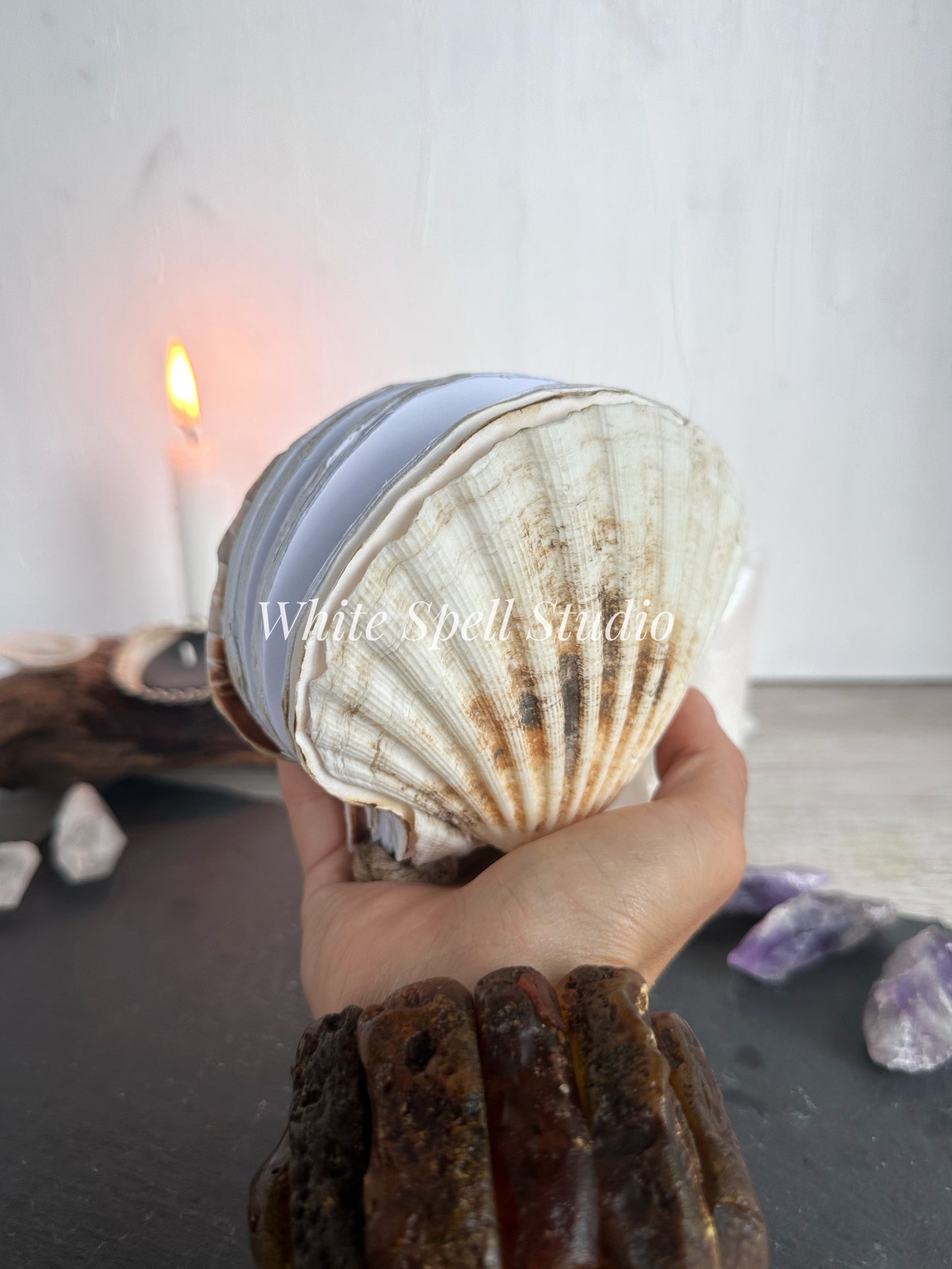 Milky white shell journal
