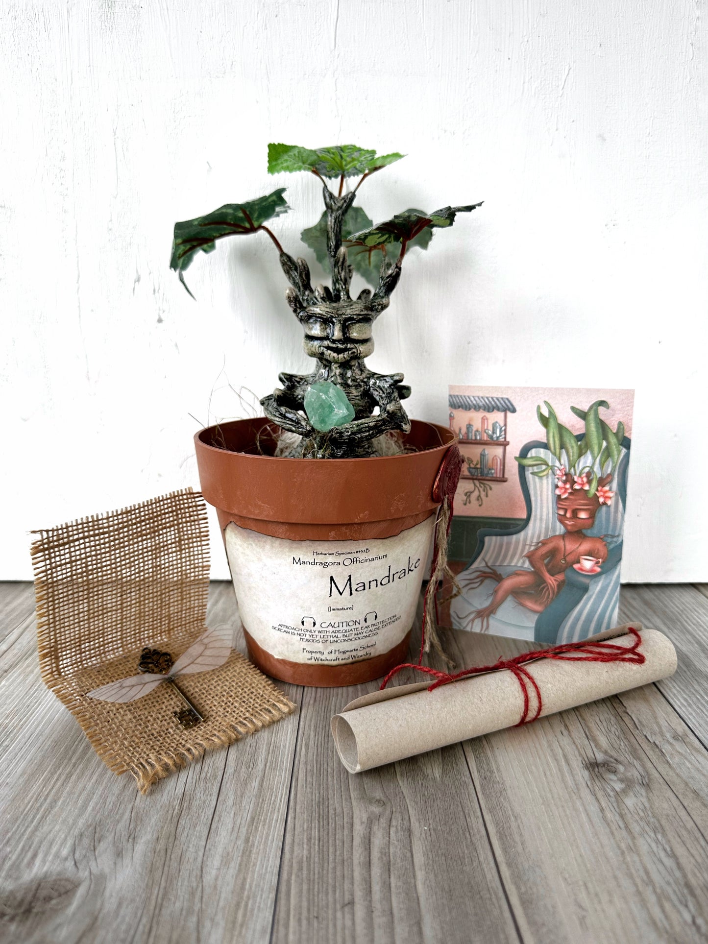 Mandragora crystal Keeper