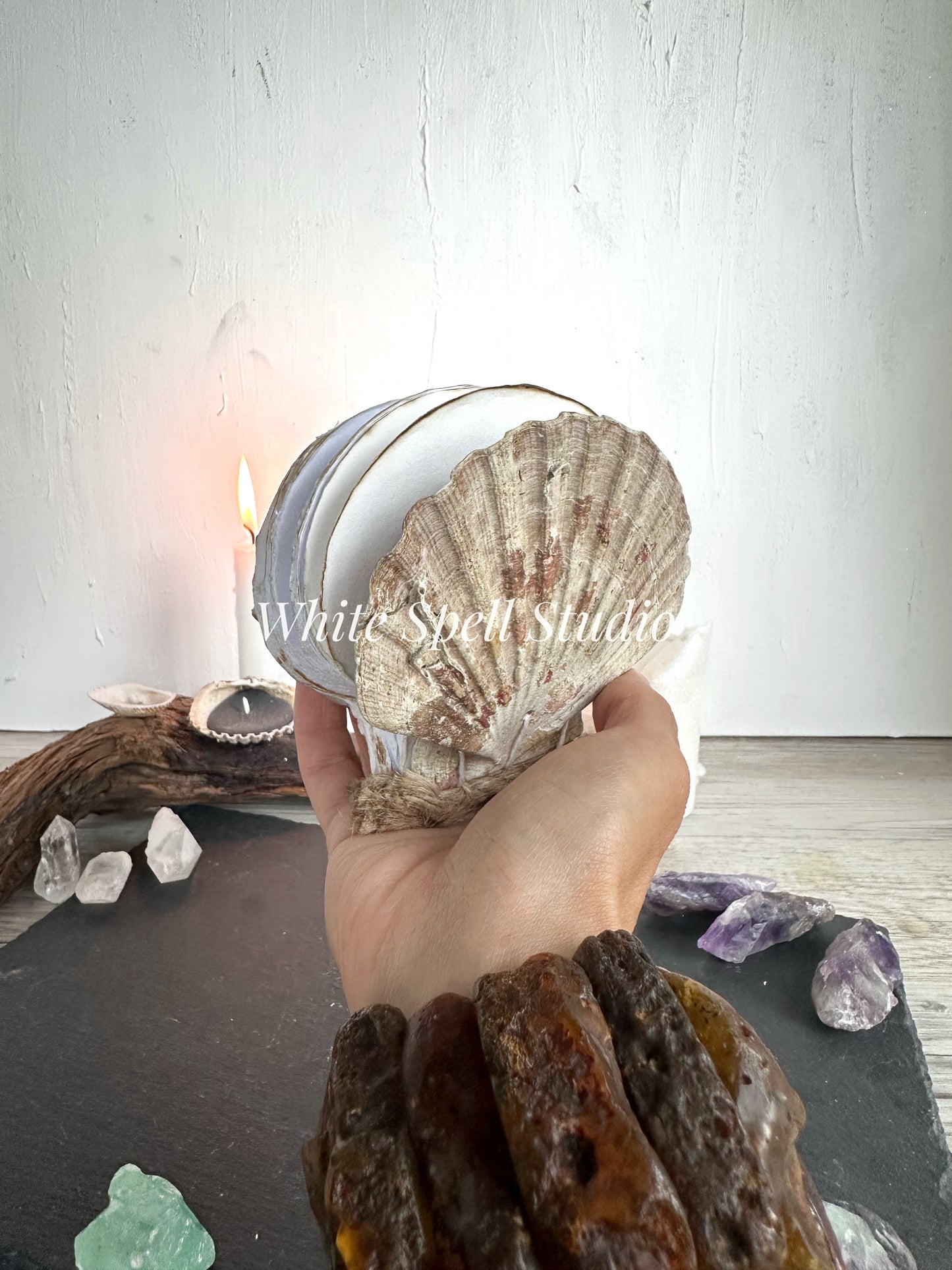 Scallop shell with growths journal
