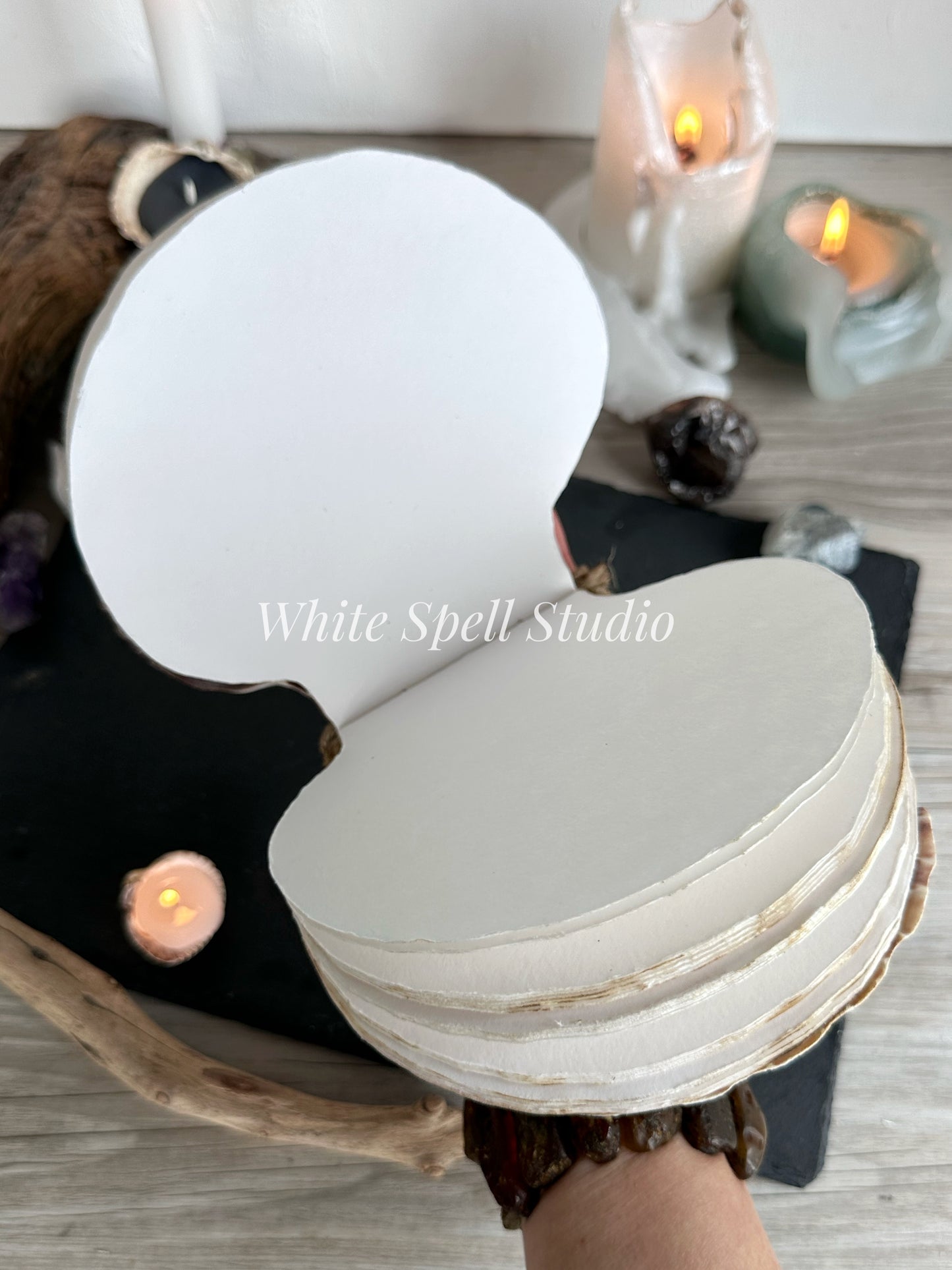 Extra large Beige scallop shell journal