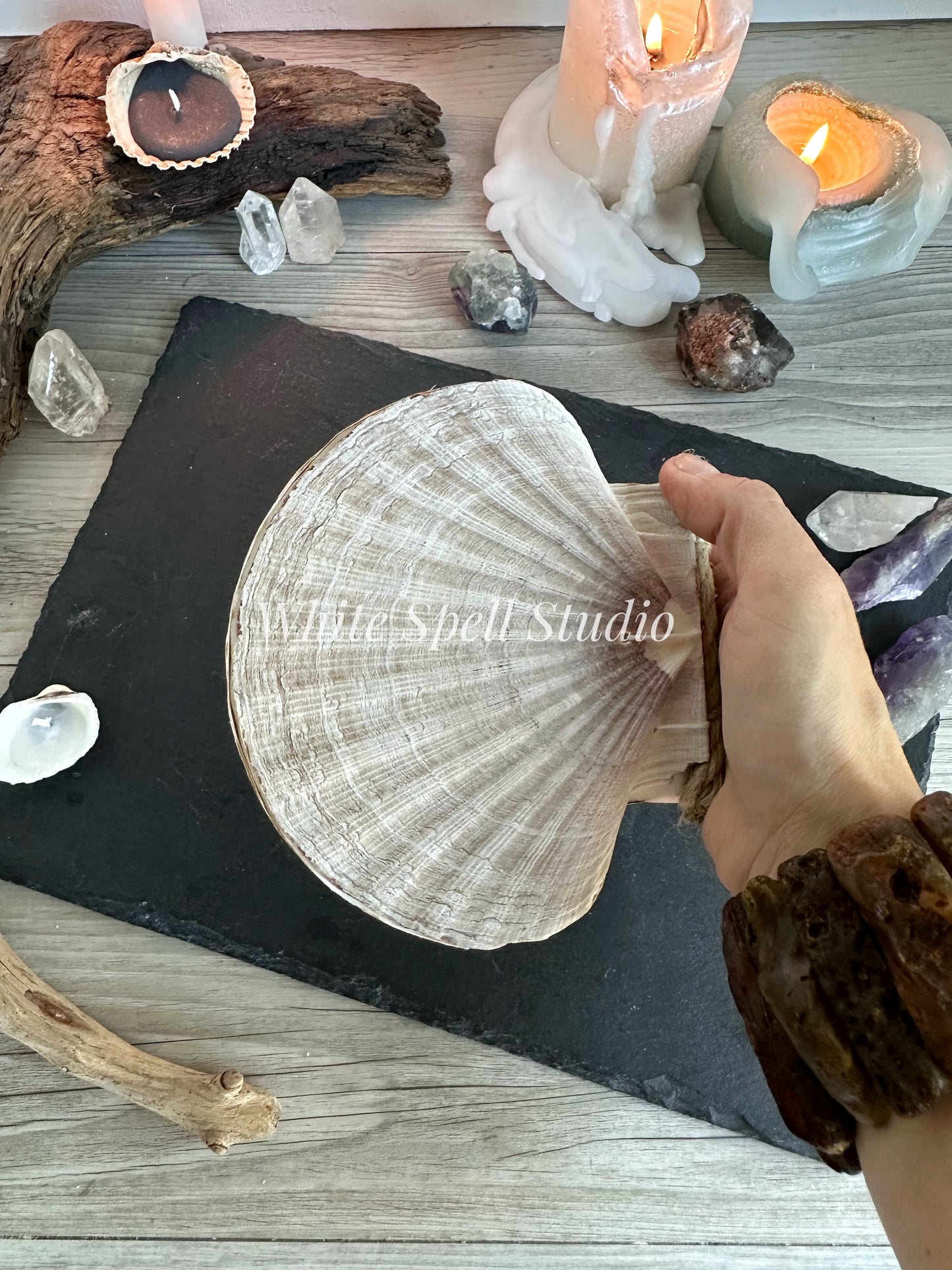 XXL convex and flat shell journals