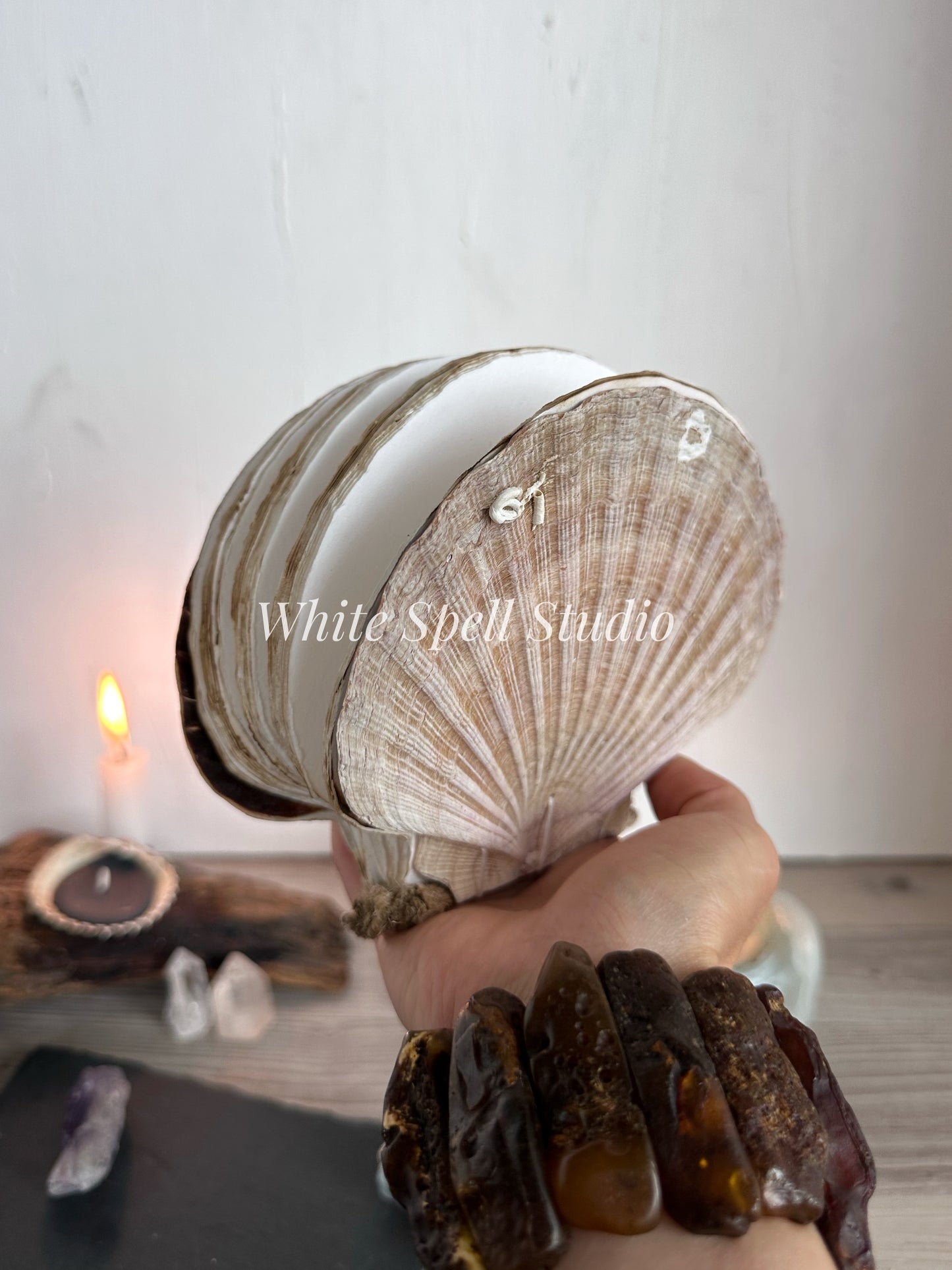Irish Flat scallop shell journal