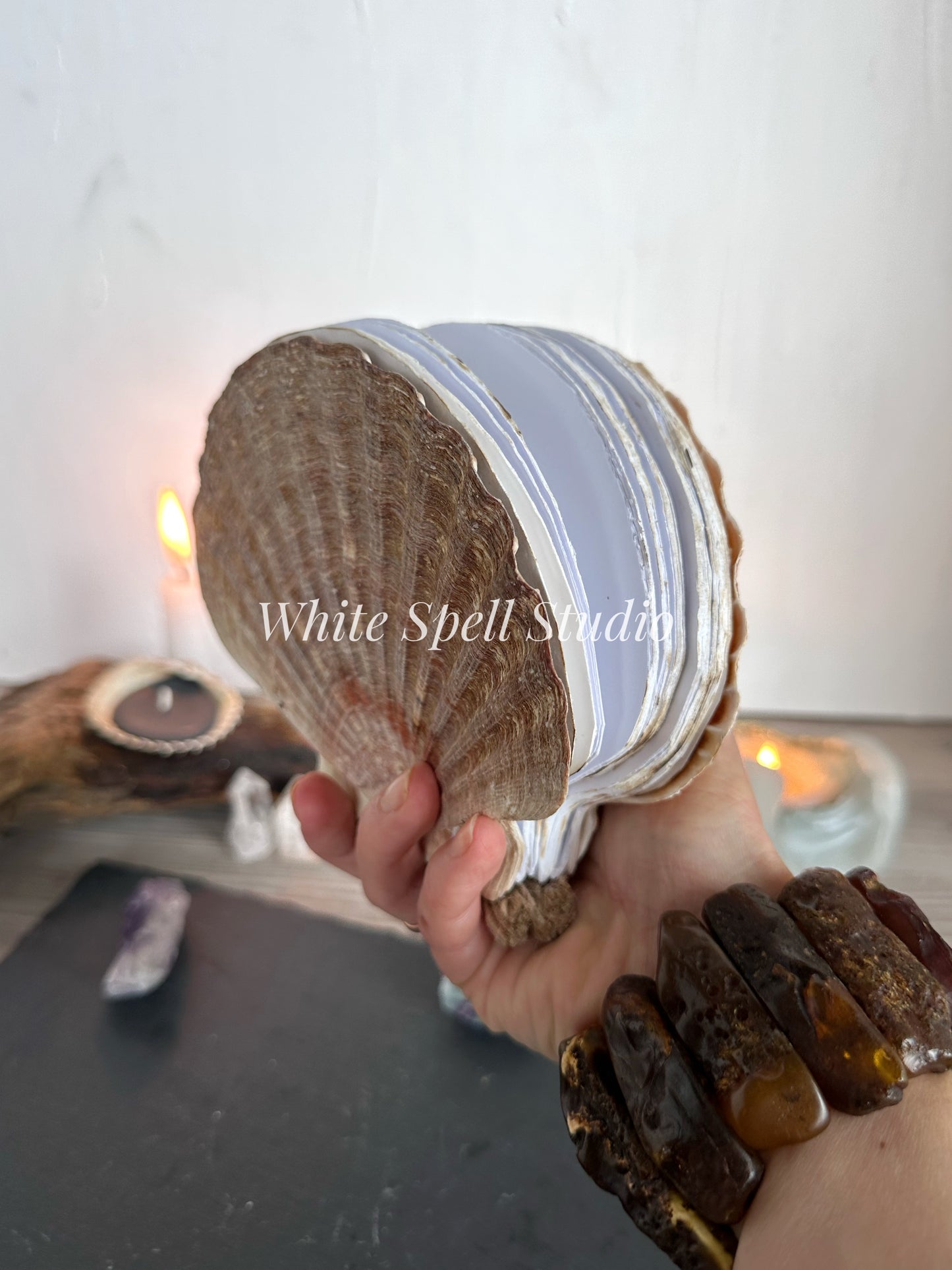 Irish Flat scallop shell journal