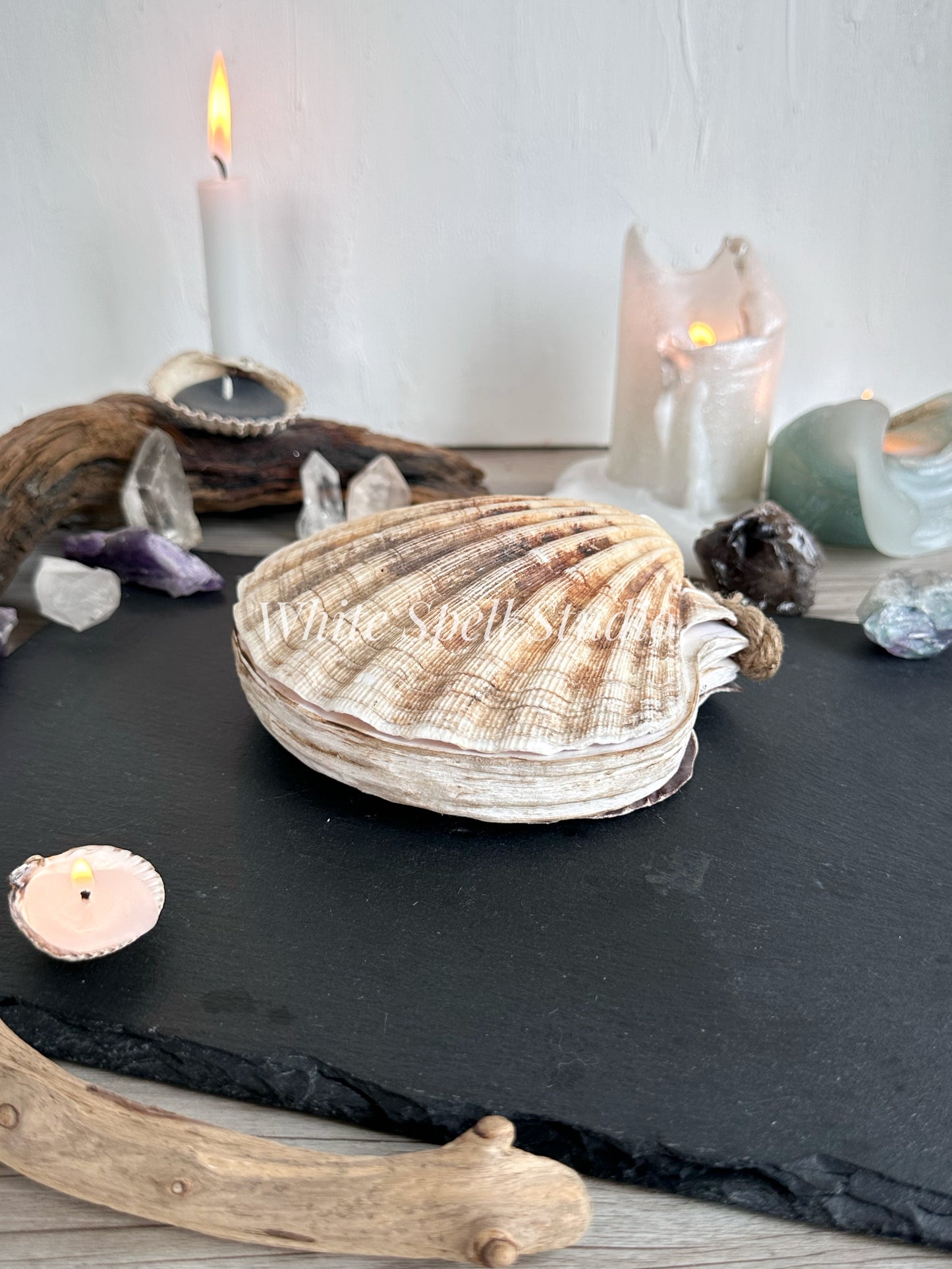 Extra large Beige scallop shell journal