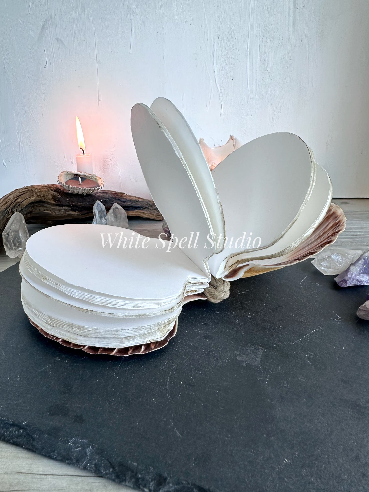 XXL convex and flat shell journals