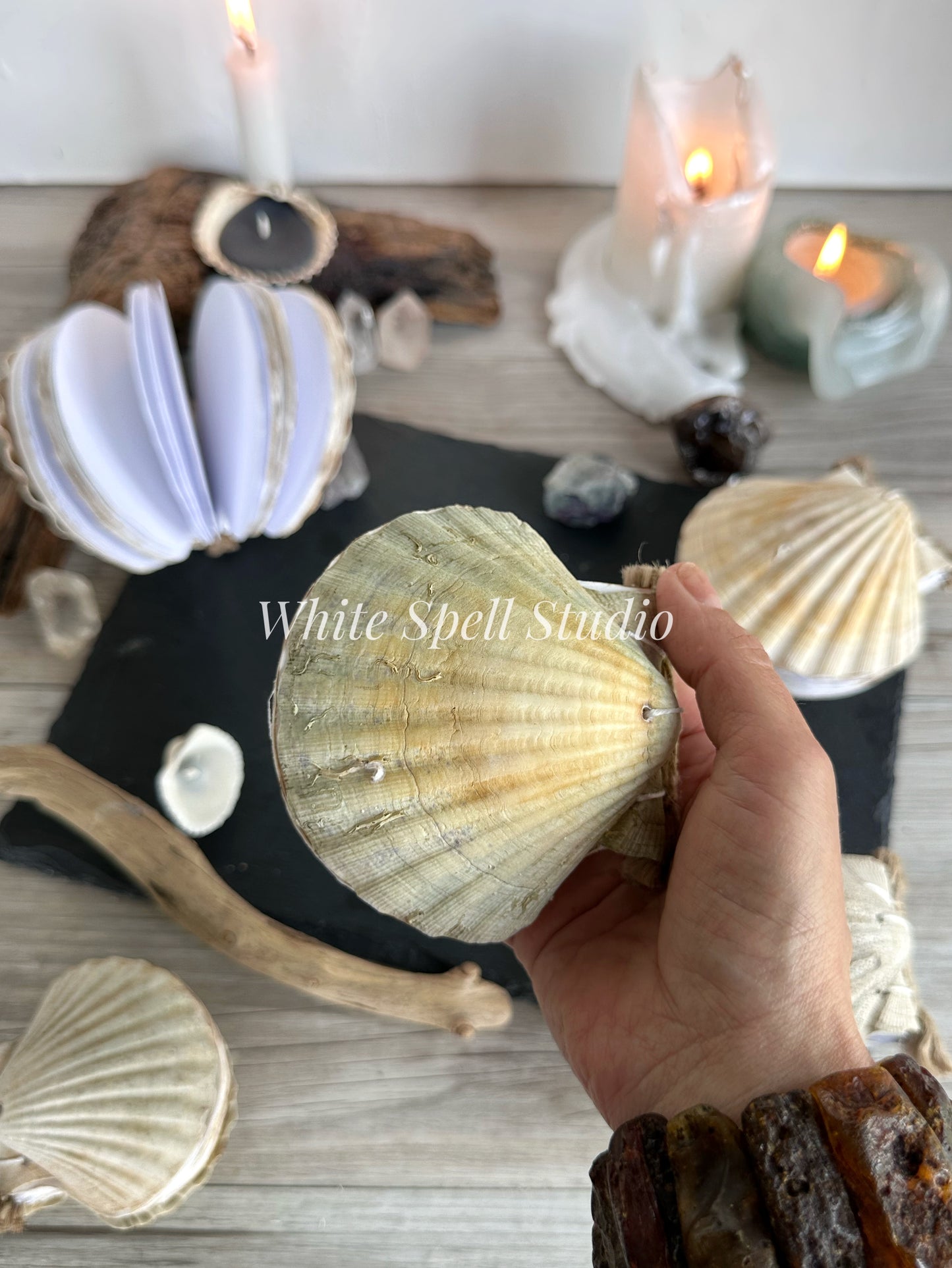 Shell journals with growths & natural greenish