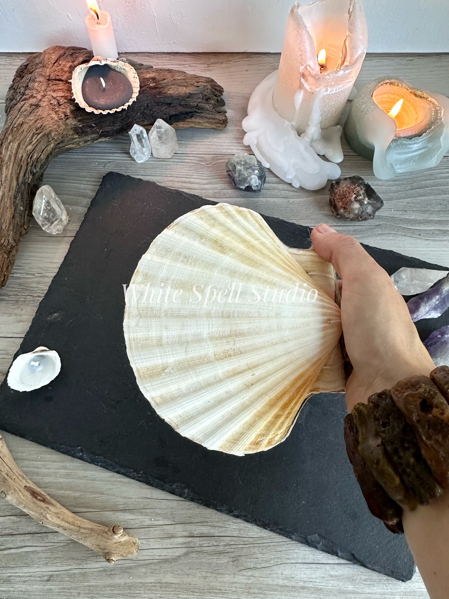 XXL convex and flat shell journals