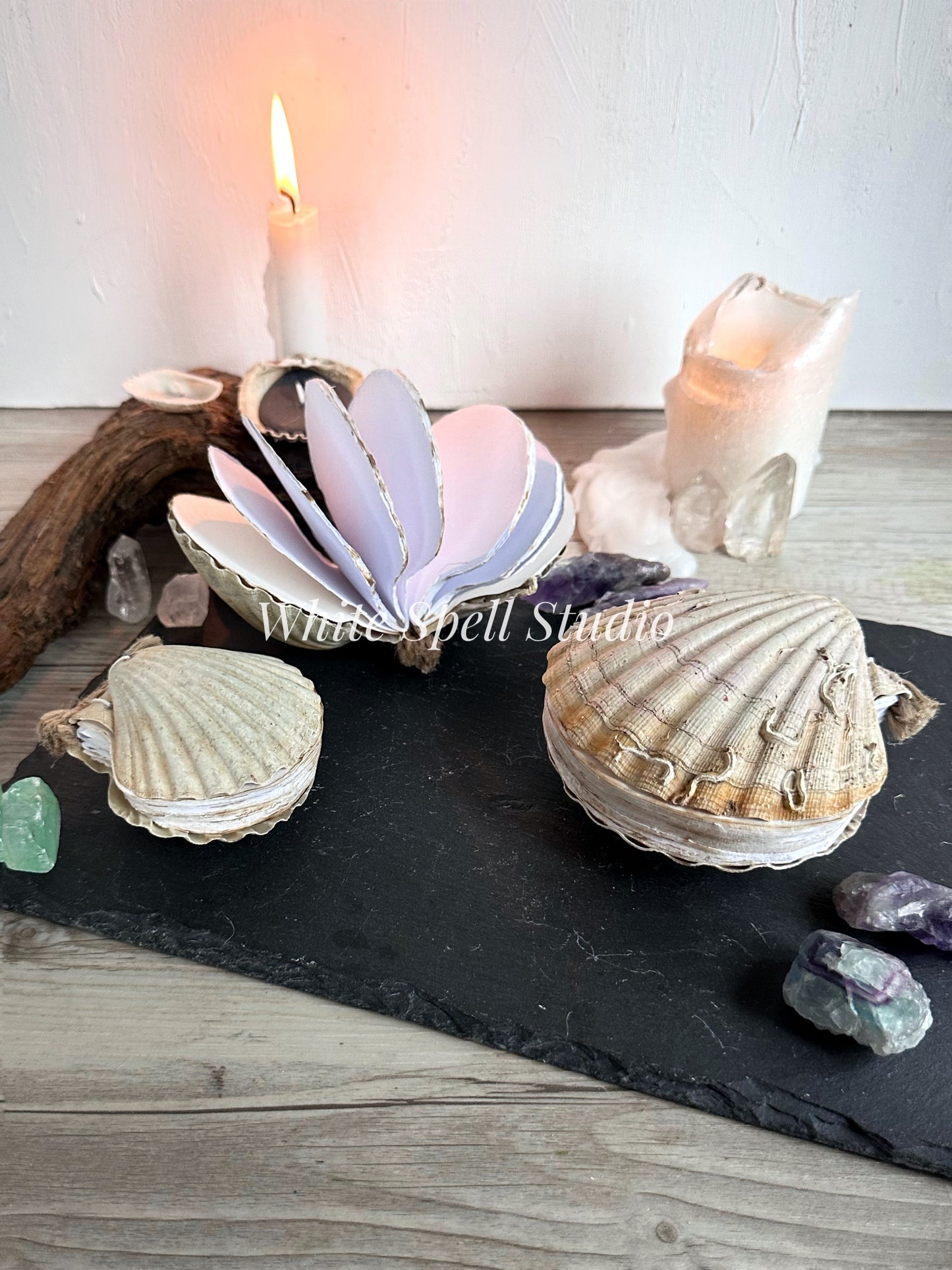 Shell journals with natural greenish and growths