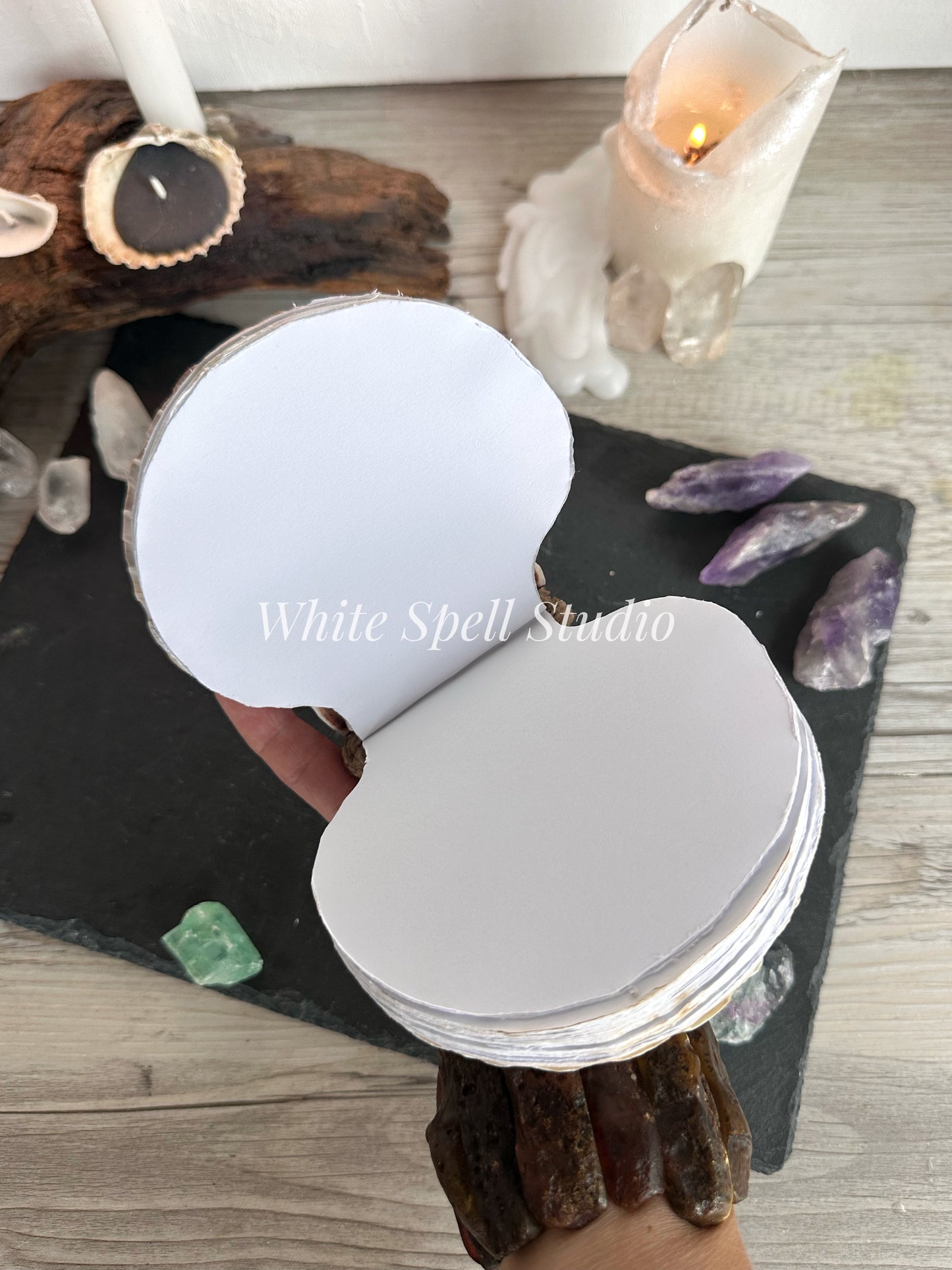 Milky white shell journal