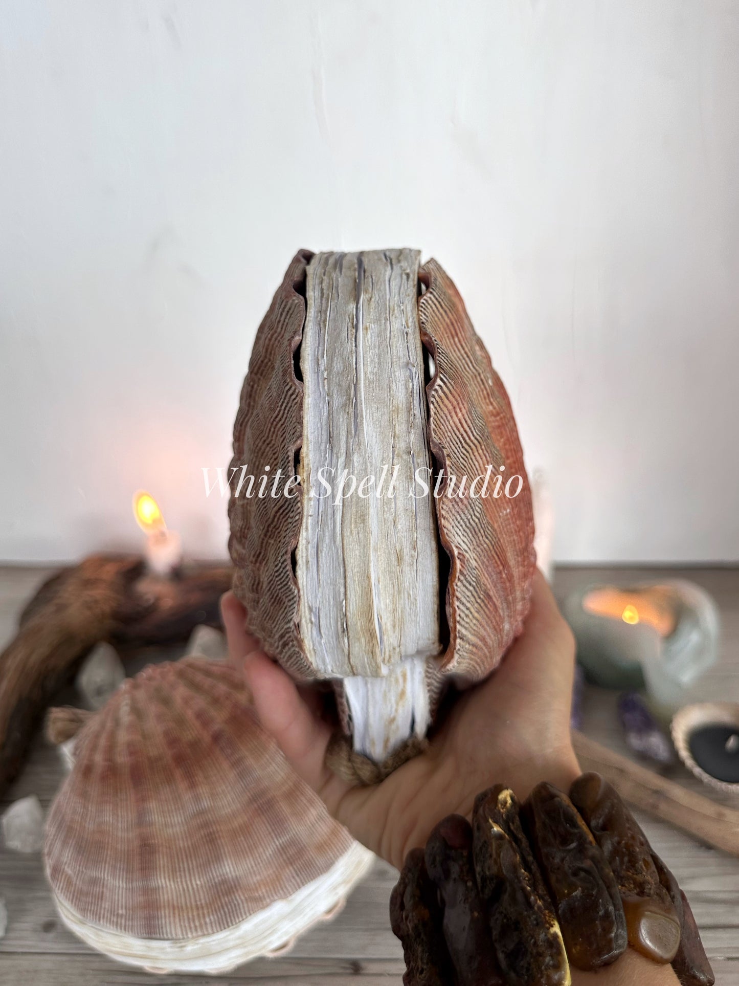Royal XXL Lion’s Paw Royal shell journal