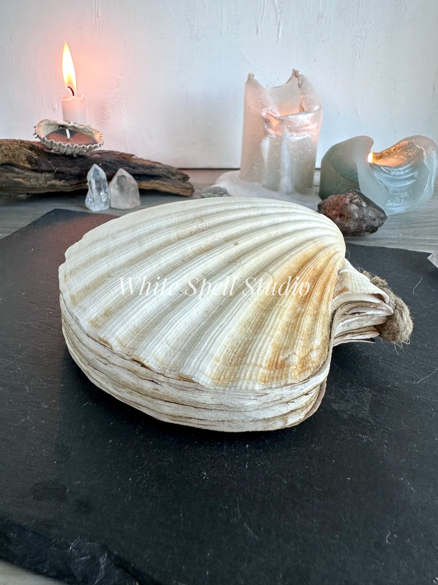 XXL convex and flat shell journals