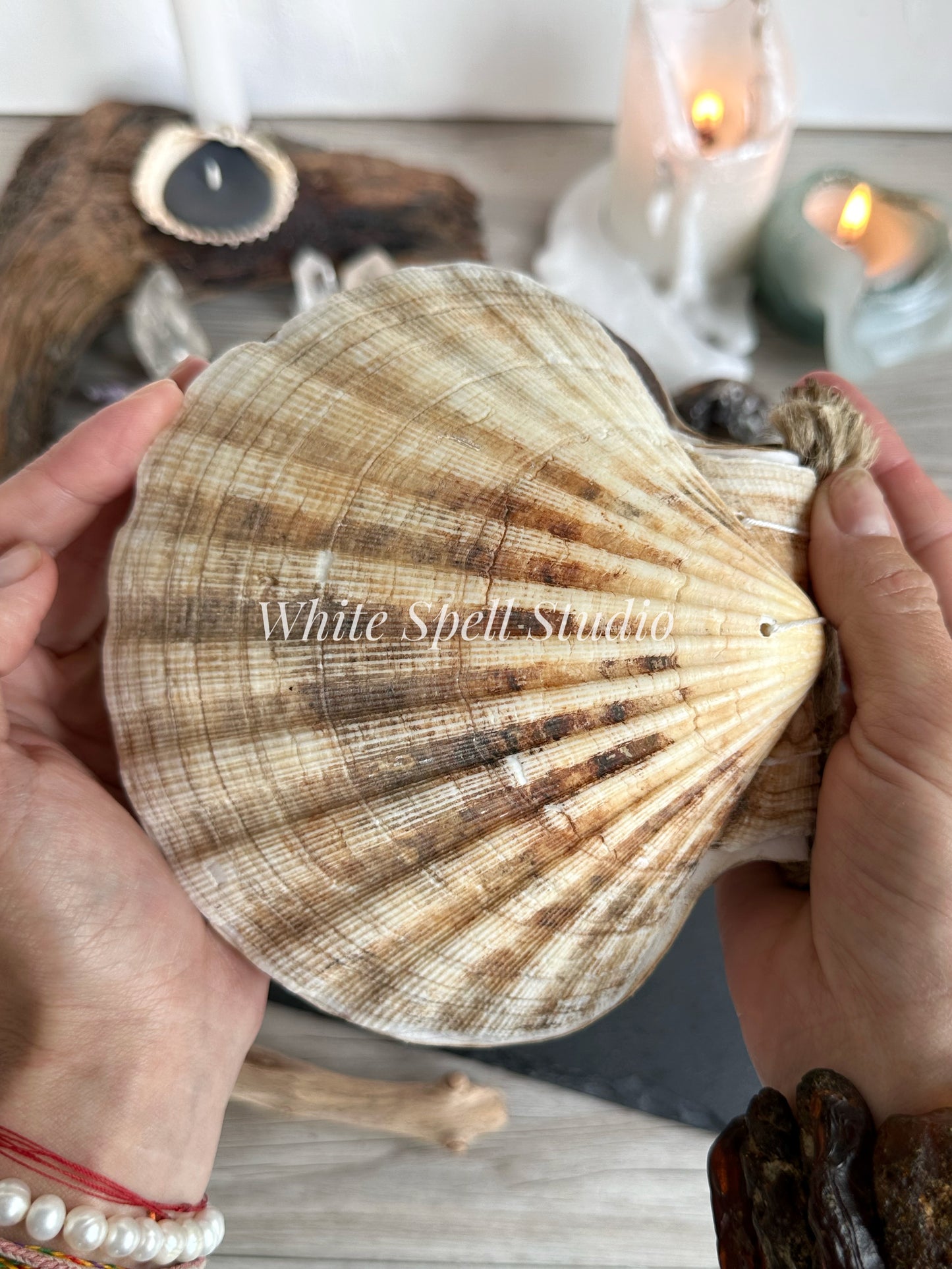 Extra large Beige scallop shell journal