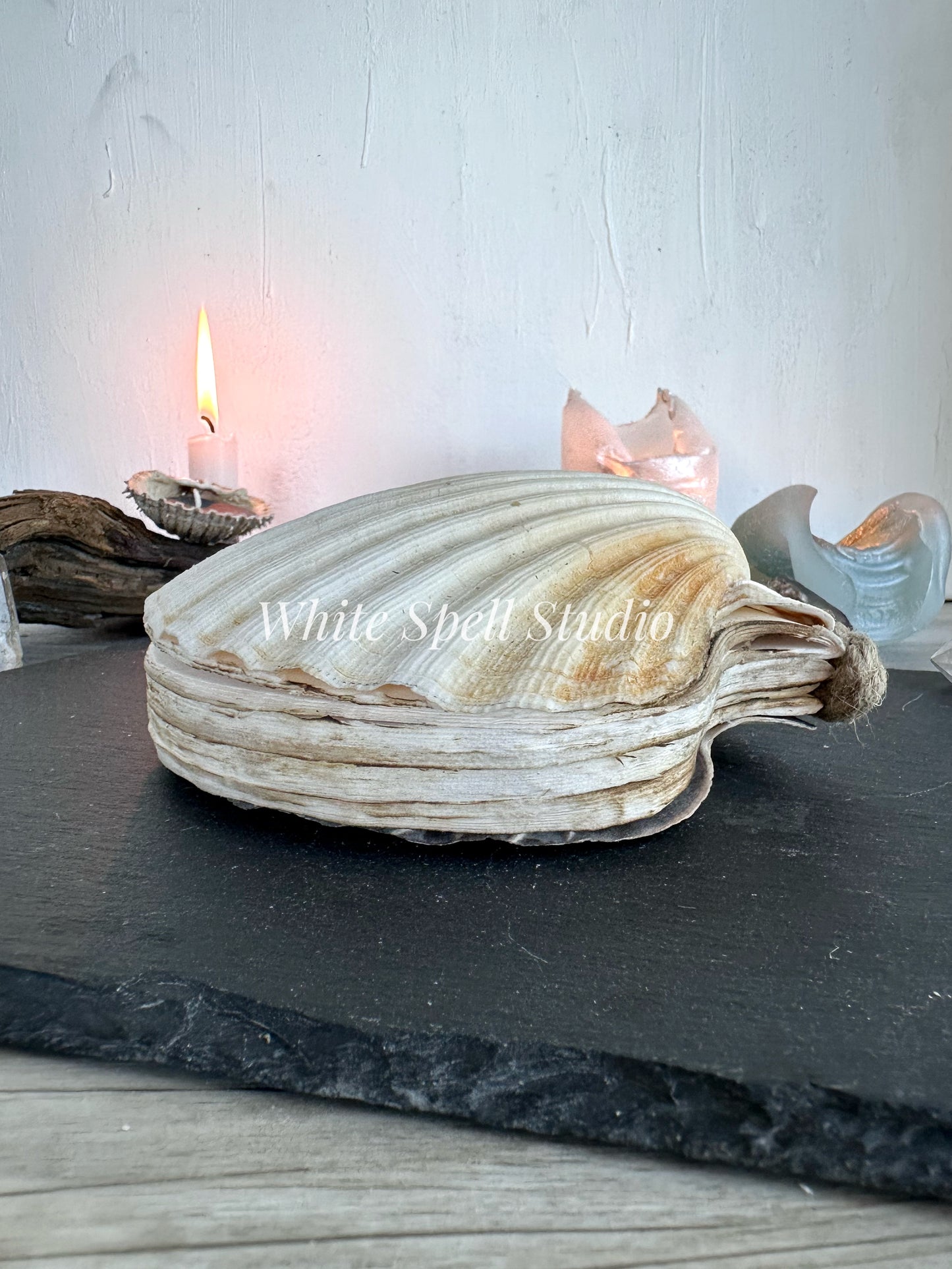 XXL convex and flat shell journals