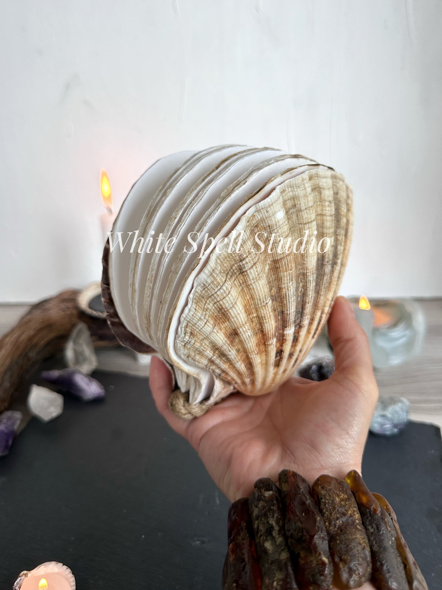 Extra large Beige scallop shell journal
