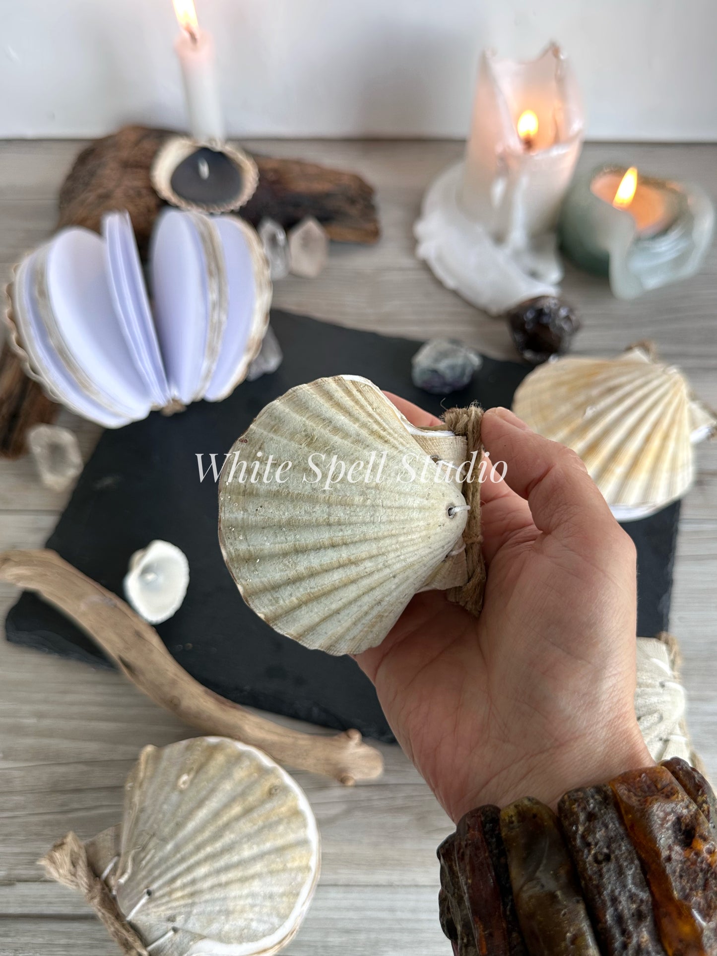 Shell journals with growths & natural greenish