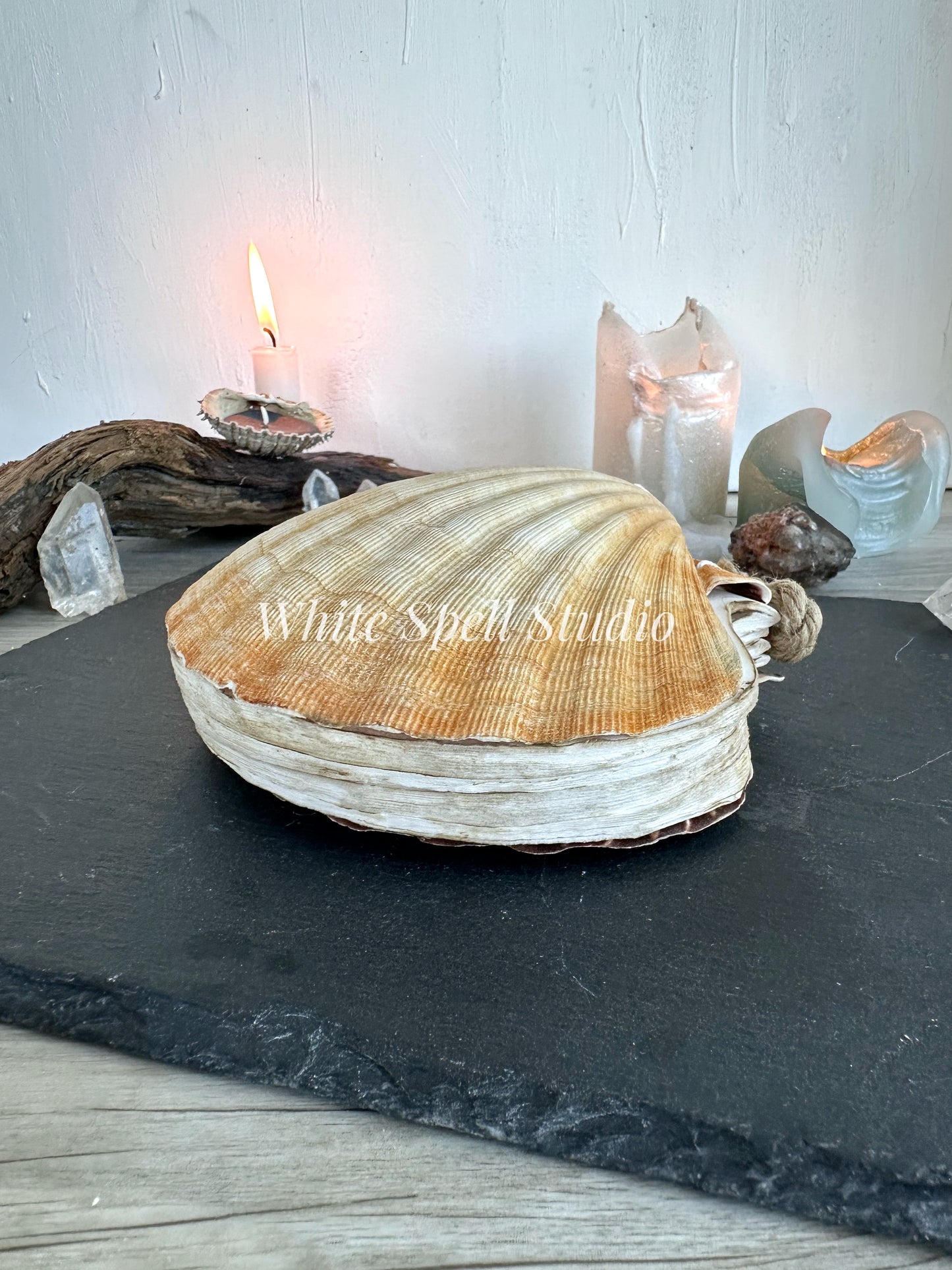 XXL convex and flat shell journals