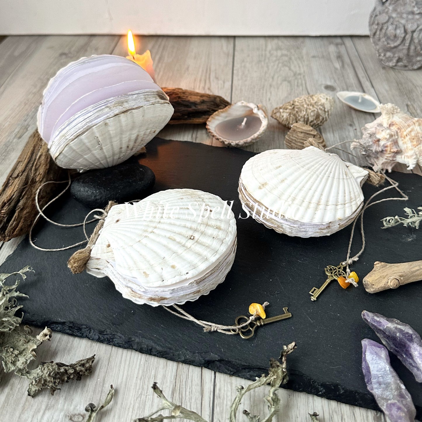 Scallop Shell journal white