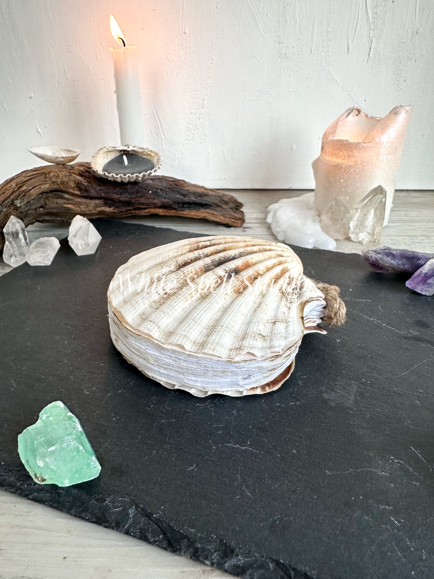 Milky white shell journal