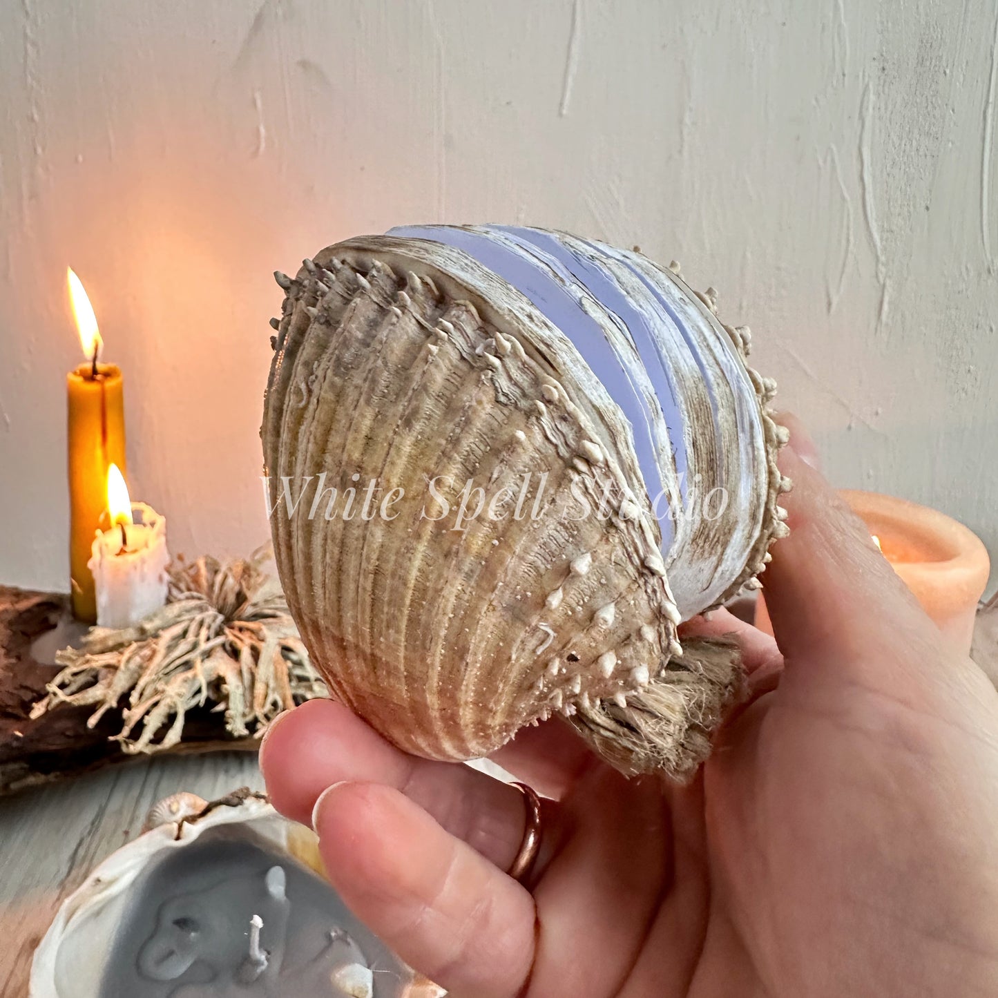 Spiny Shell journal and candle set
