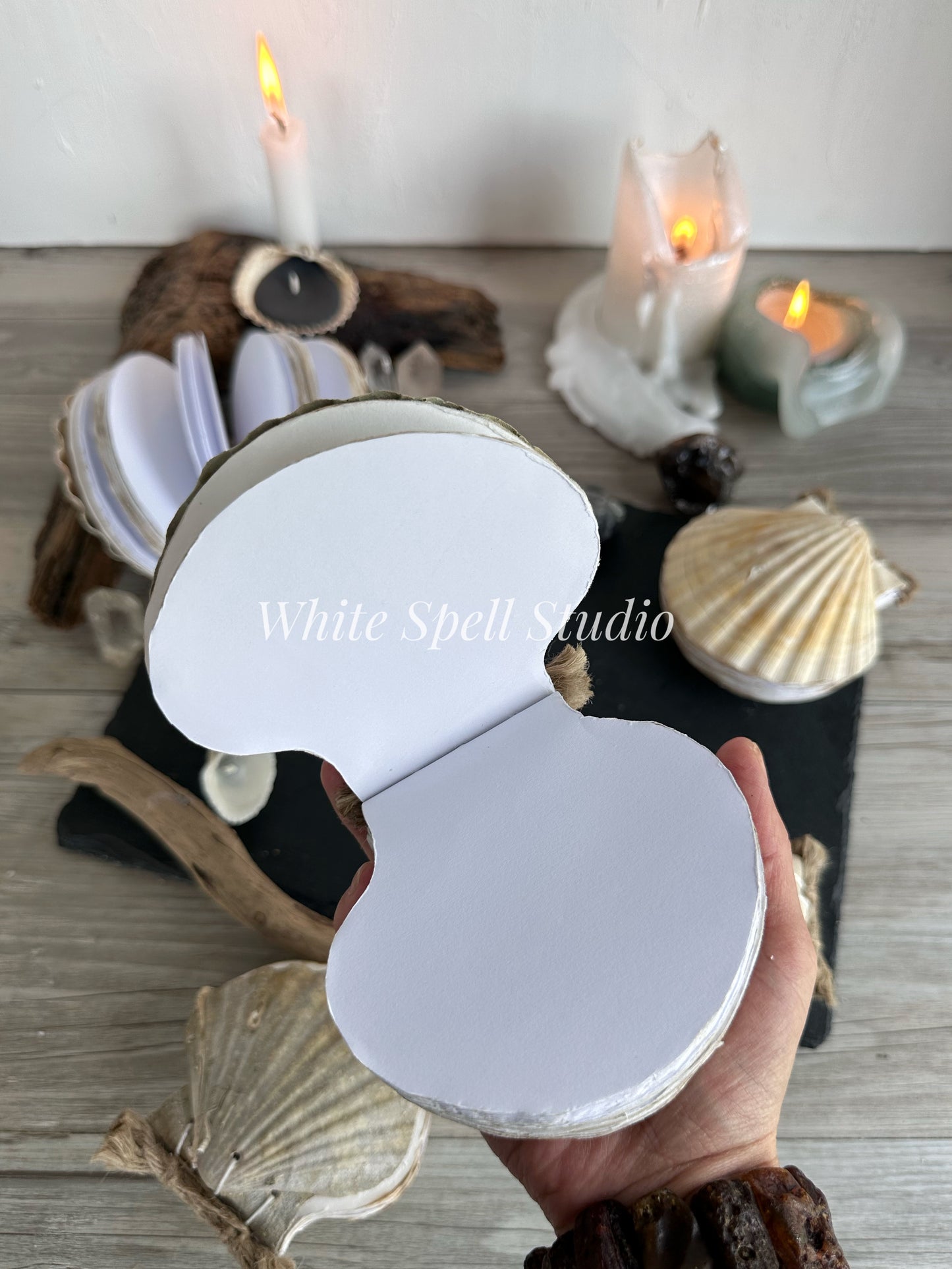 Shell journals with growths & natural greenish