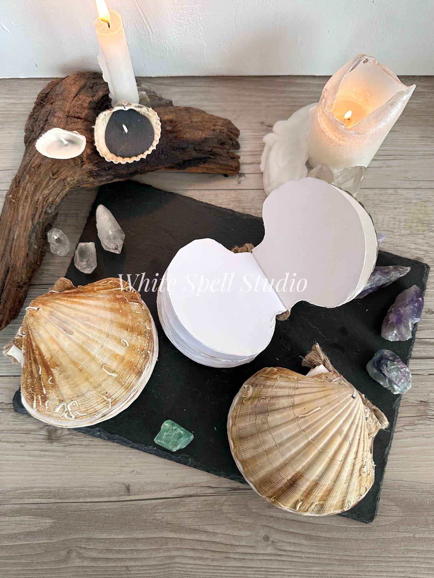 Shell journals with natural greenish and growths