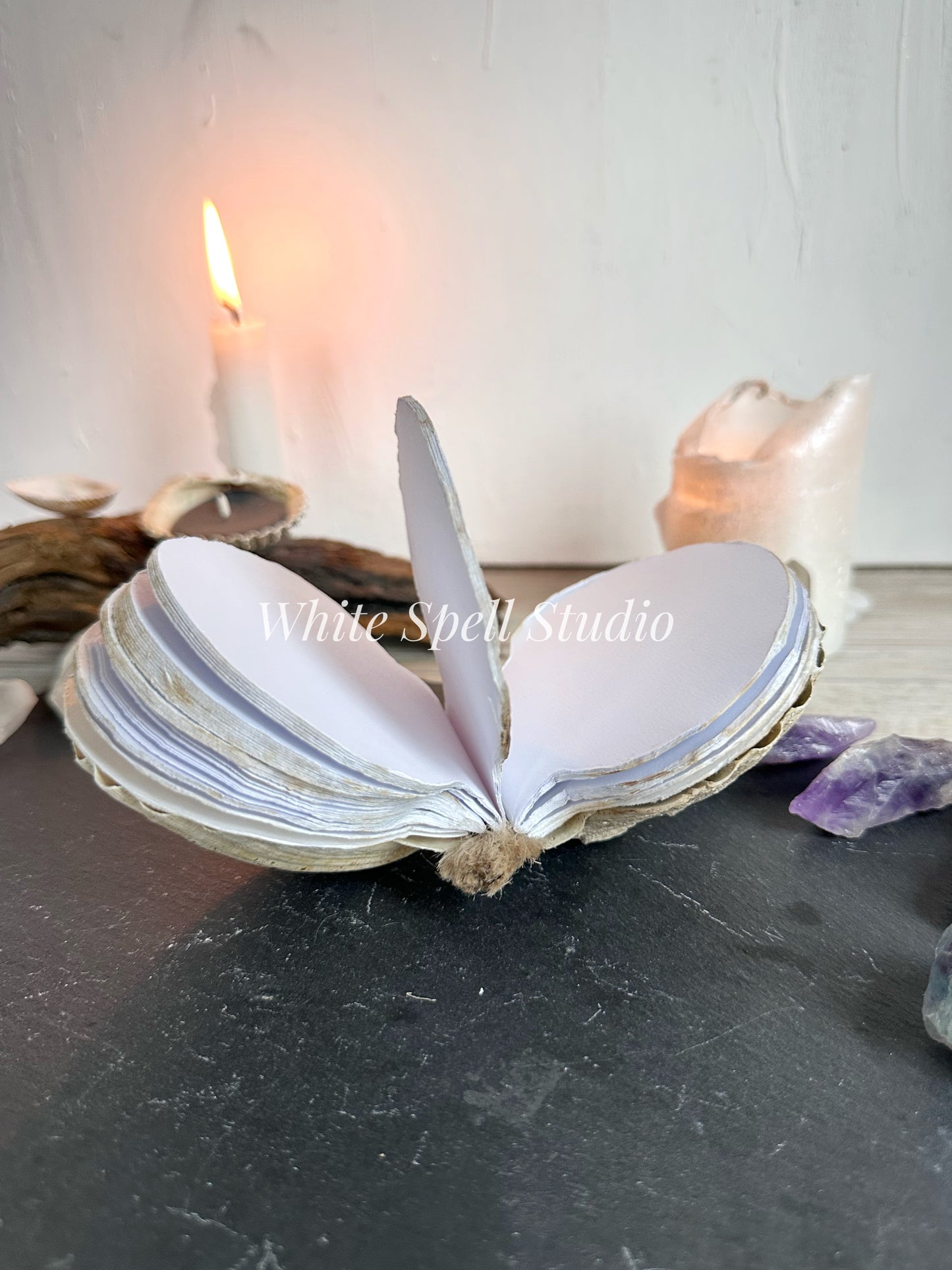 Shell journal with baby growth