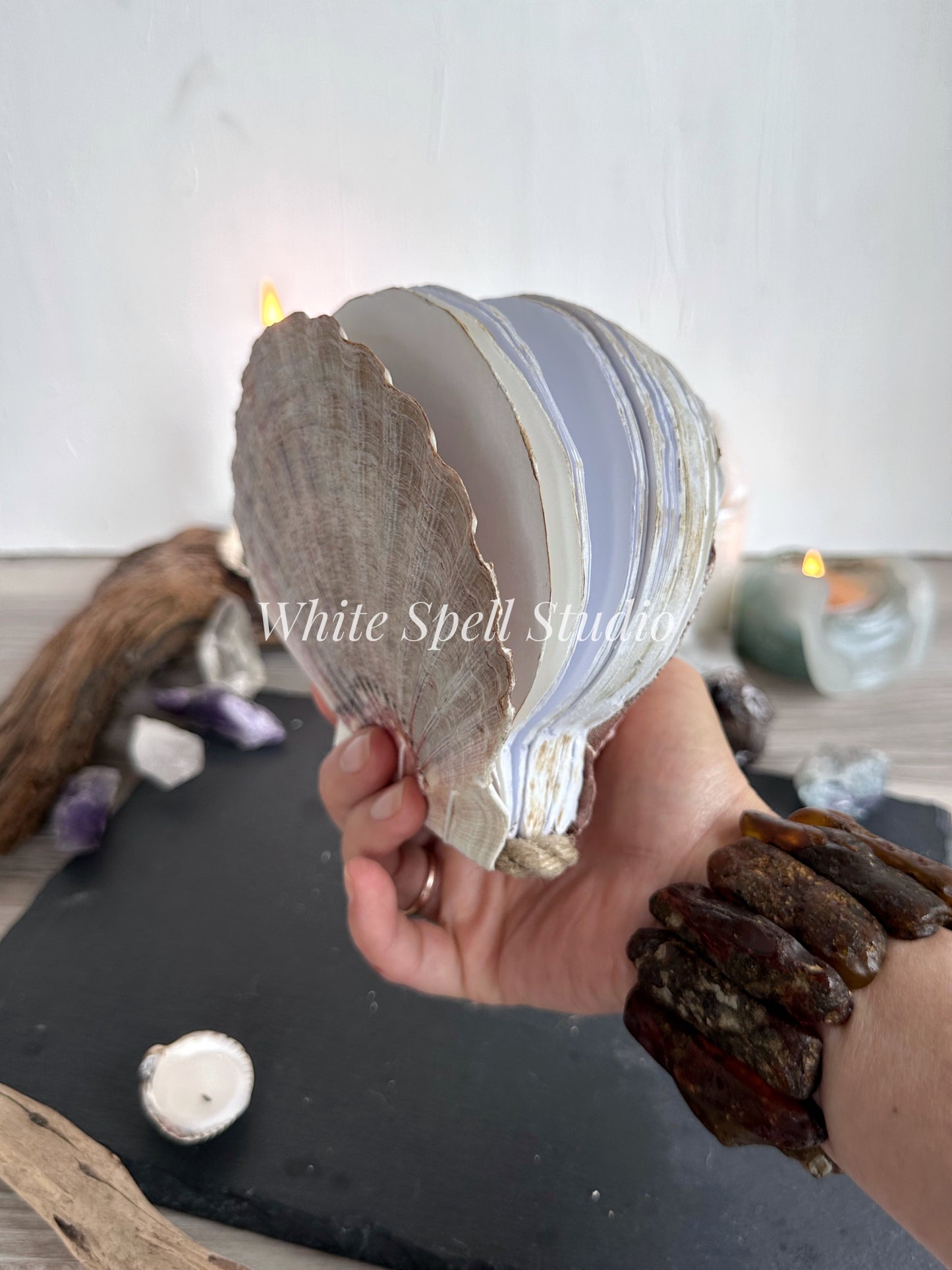 Purple Lion’s Paw shell journal