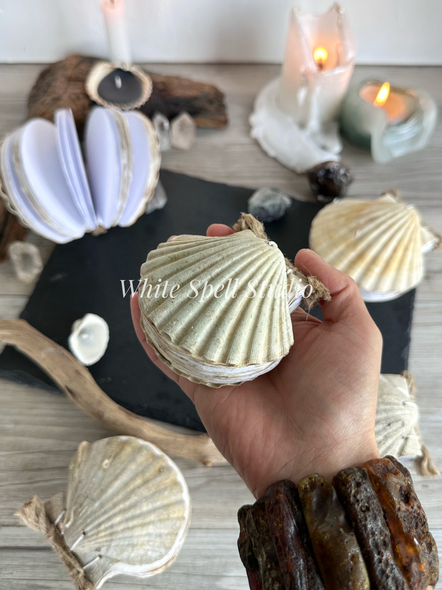 Shell journals with growths & natural greenish