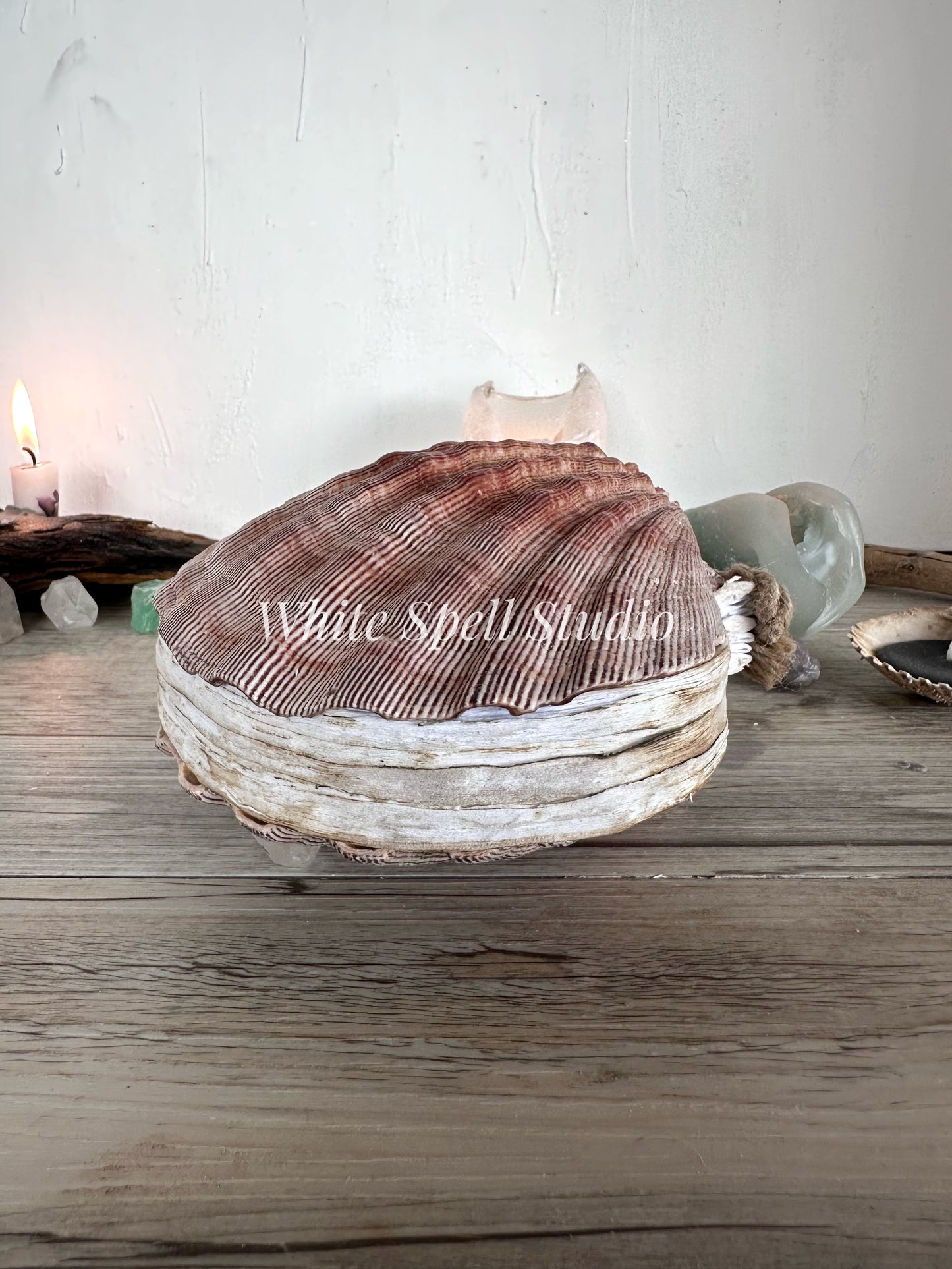Royal XXL Lion’s Paw Royal shell journal