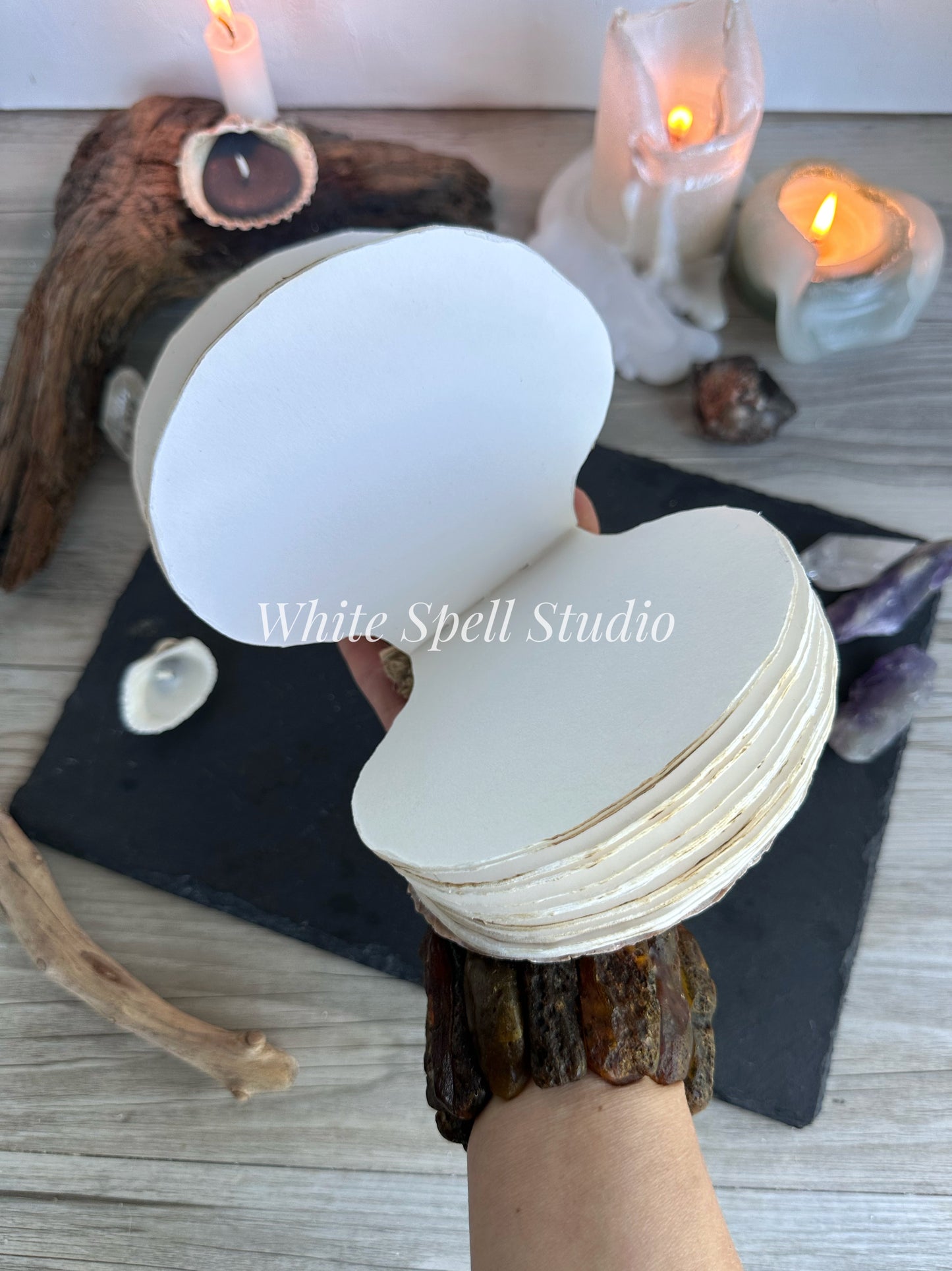 Large White shell journal