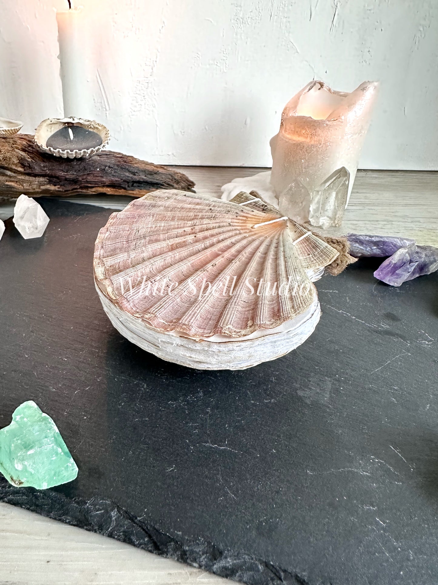 Milky white shell journal