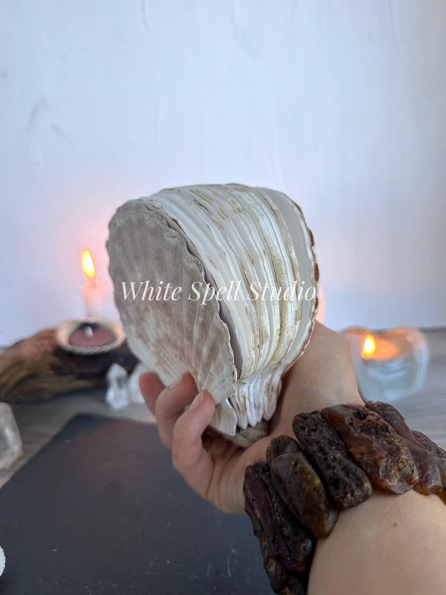 Large White shell journal