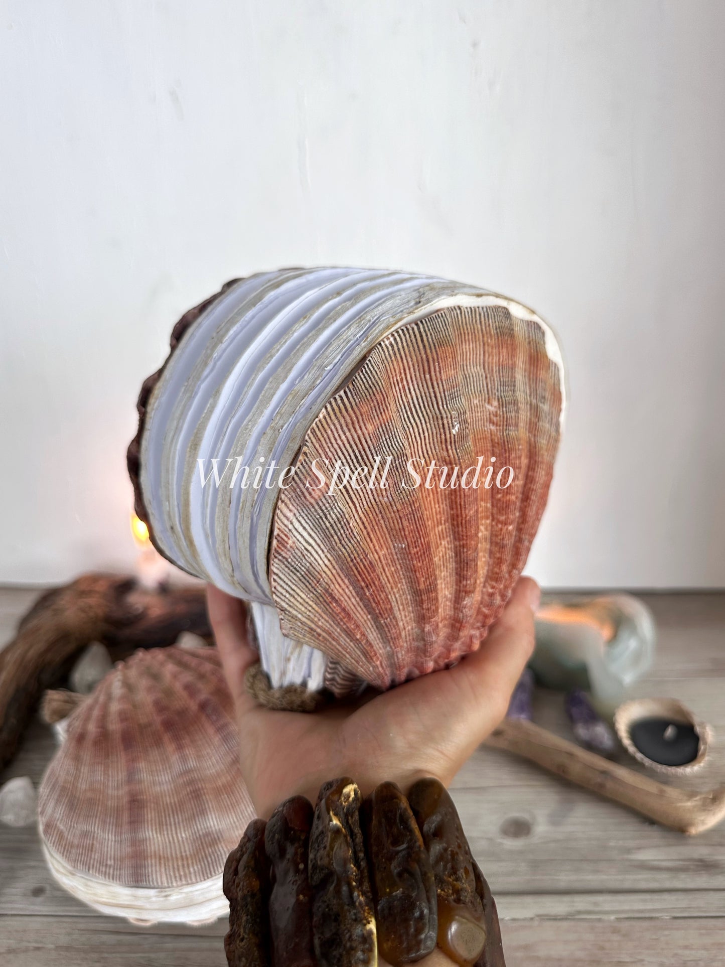 Royal XXL Lion’s Paw Royal shell journal