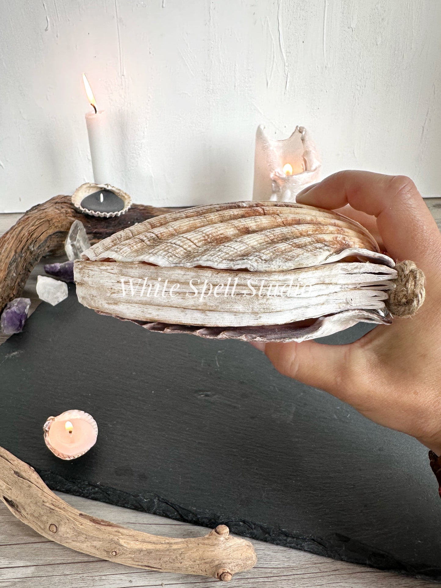 Extra large Beige scallop shell journal