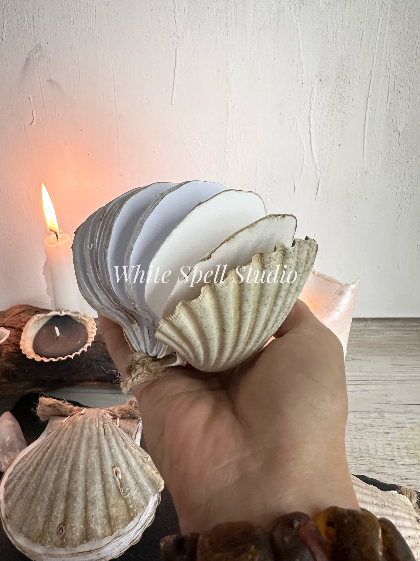 Shell journals with natural greenish and growths