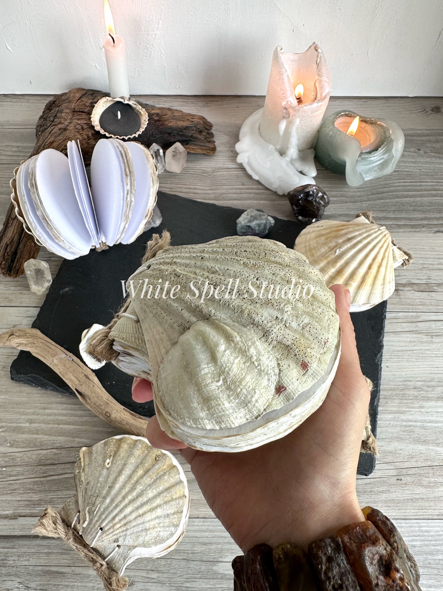 Shell journal with baby growth