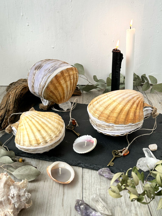 Scallop shell journal, beige (free shipping)
