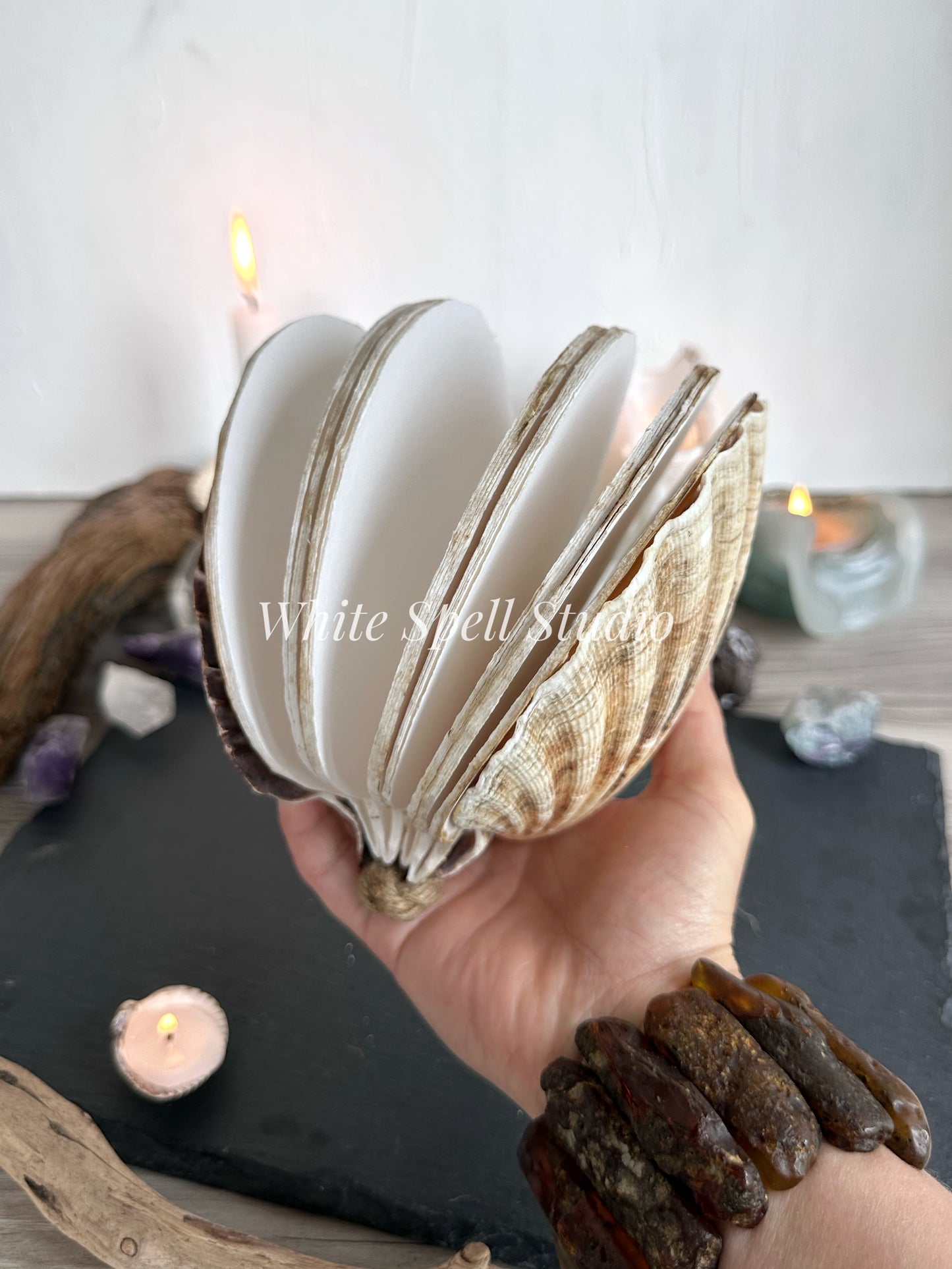 Extra large Beige scallop shell journal