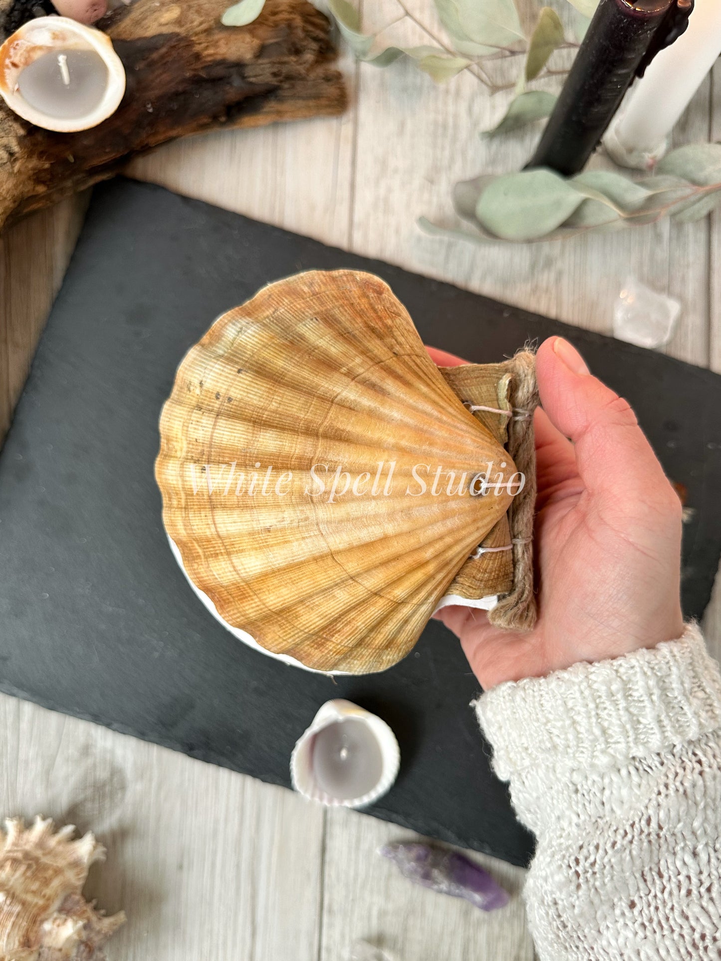 Scallop shell journal, beige (free shipping)