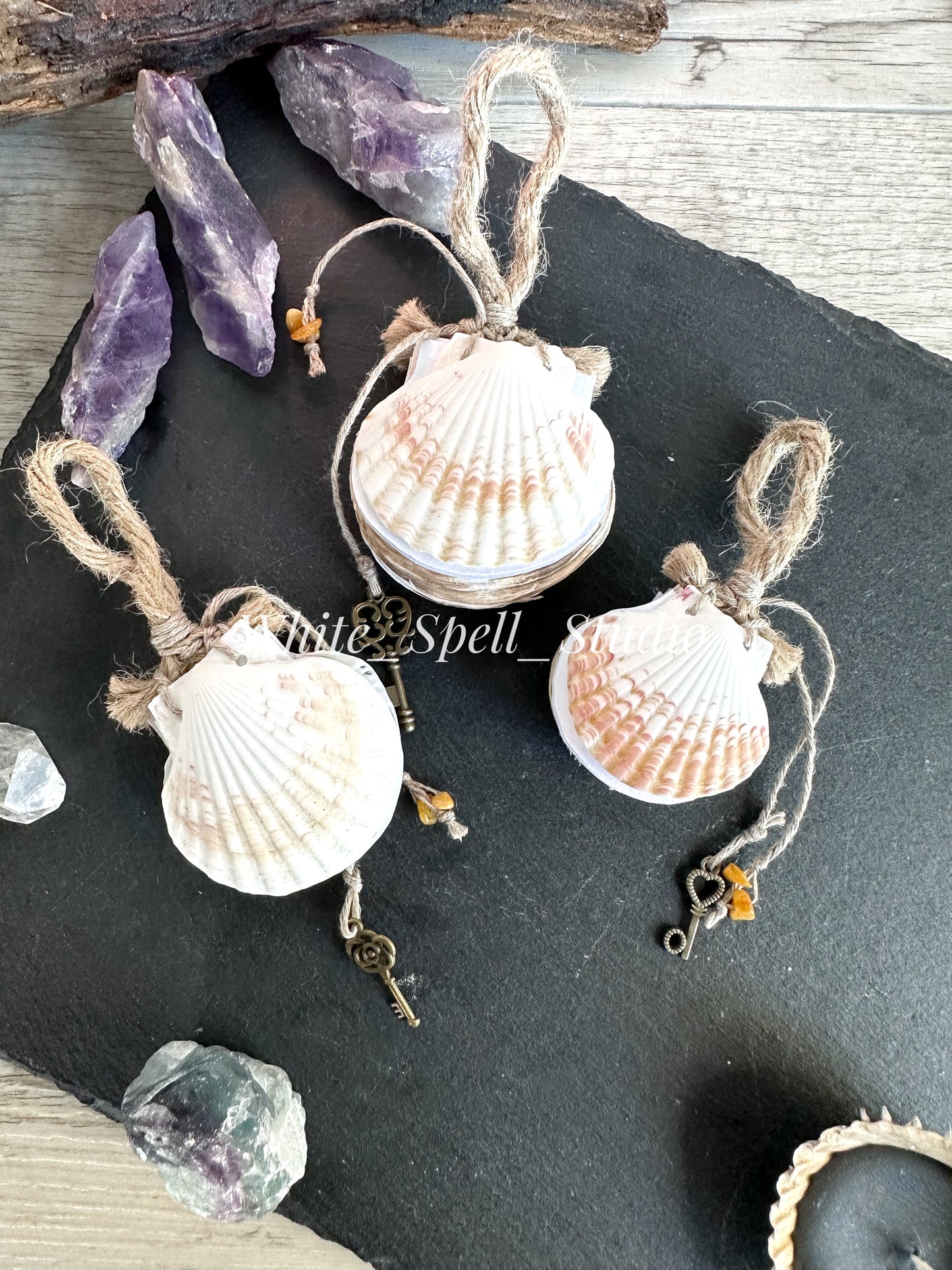 Small shell journals