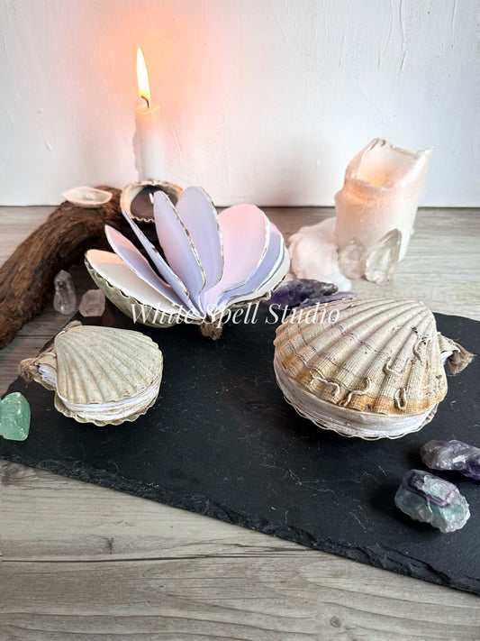 Shell journals with natural greenish and growths