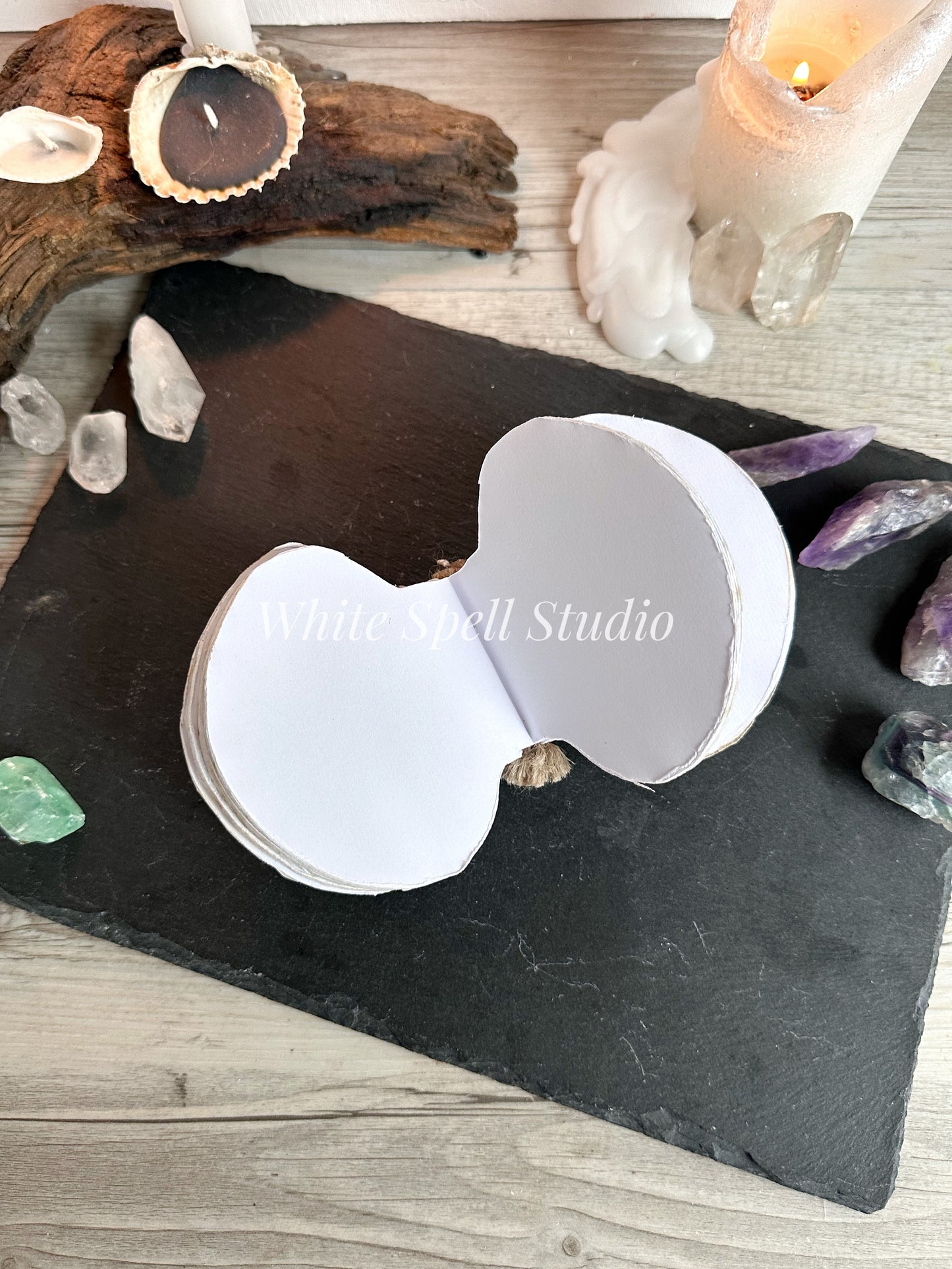 Shell journal with baby growth