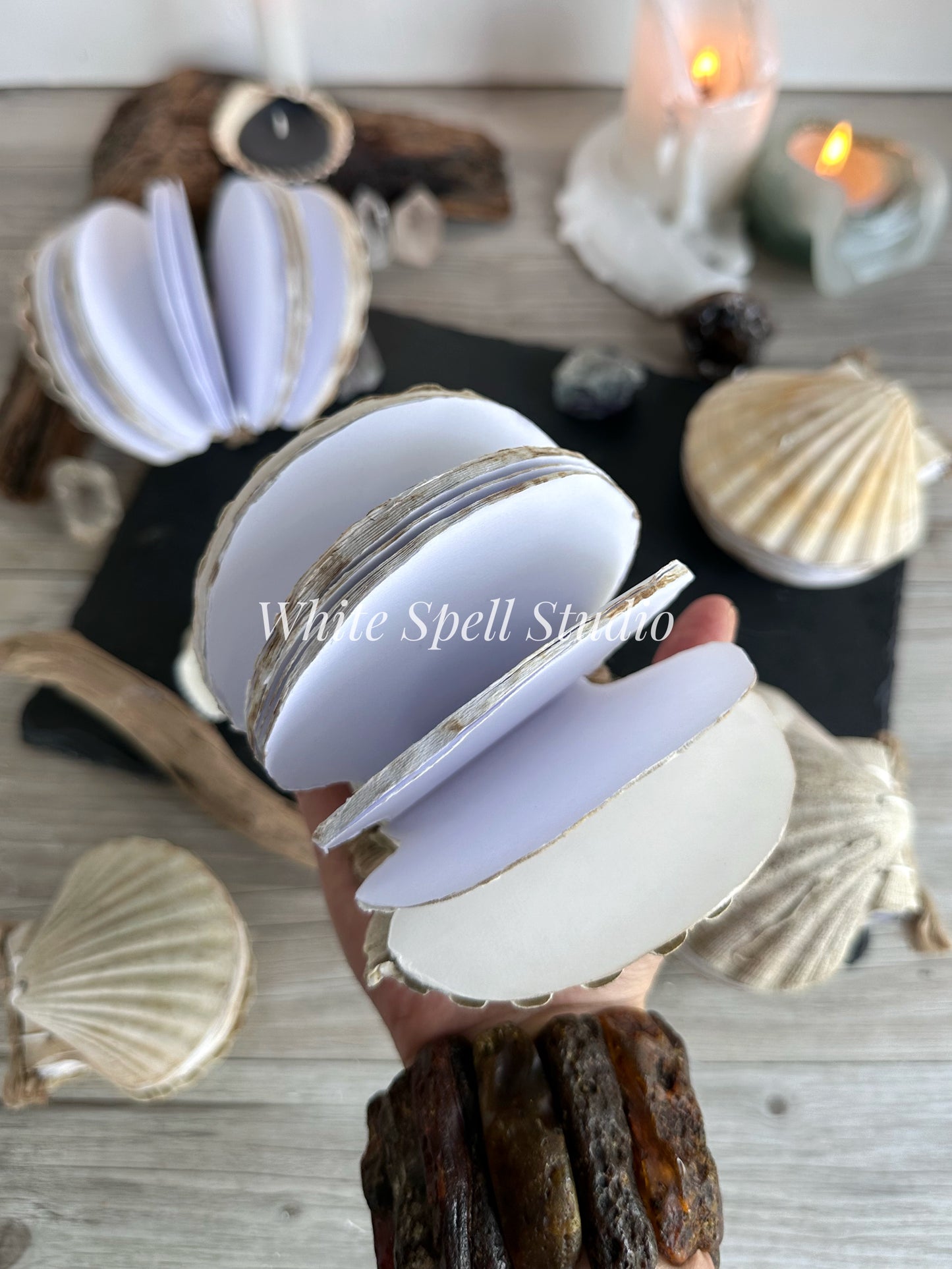 Shell journal with baby growth